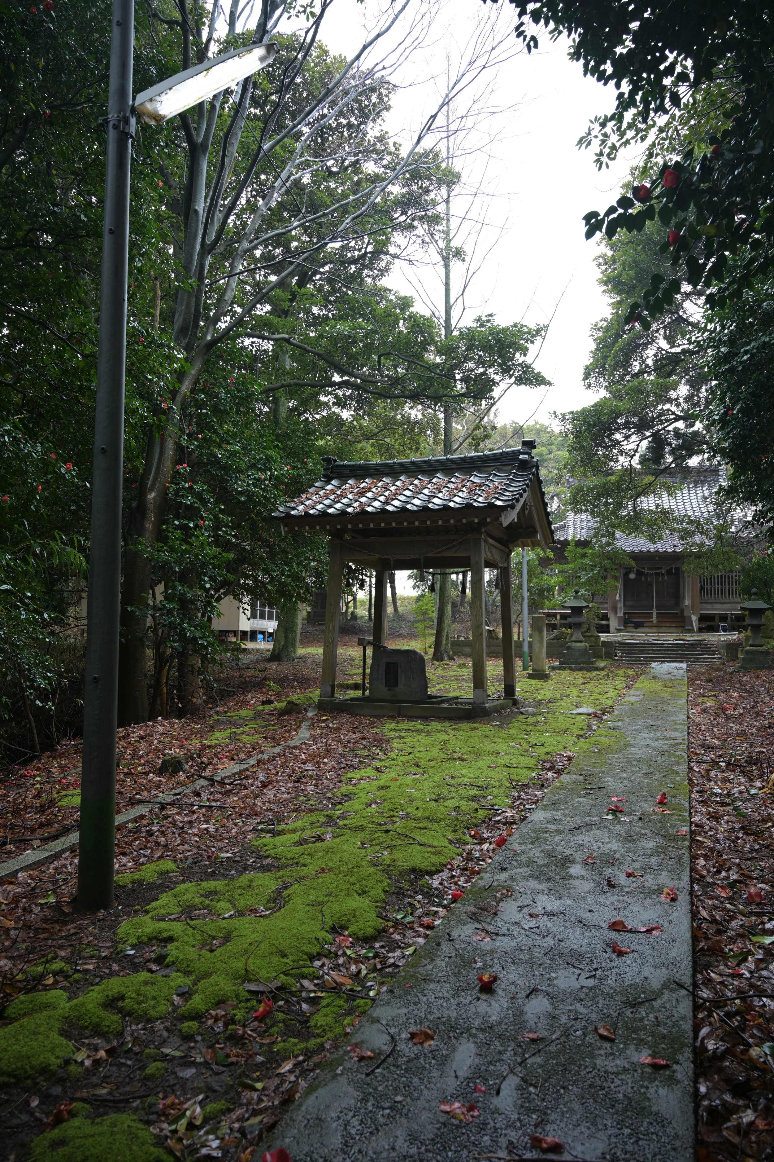 徒歩で日本縦断の旅 Walking Across Japan 74