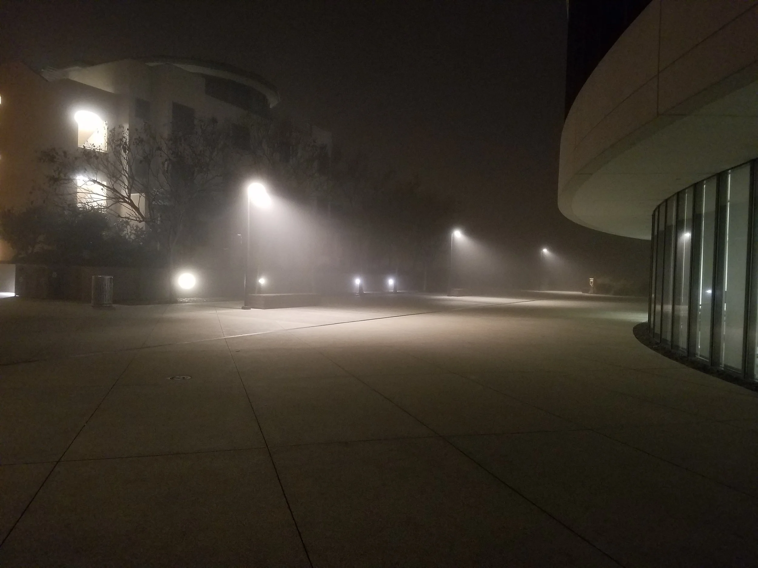 2017, California #2.jpg