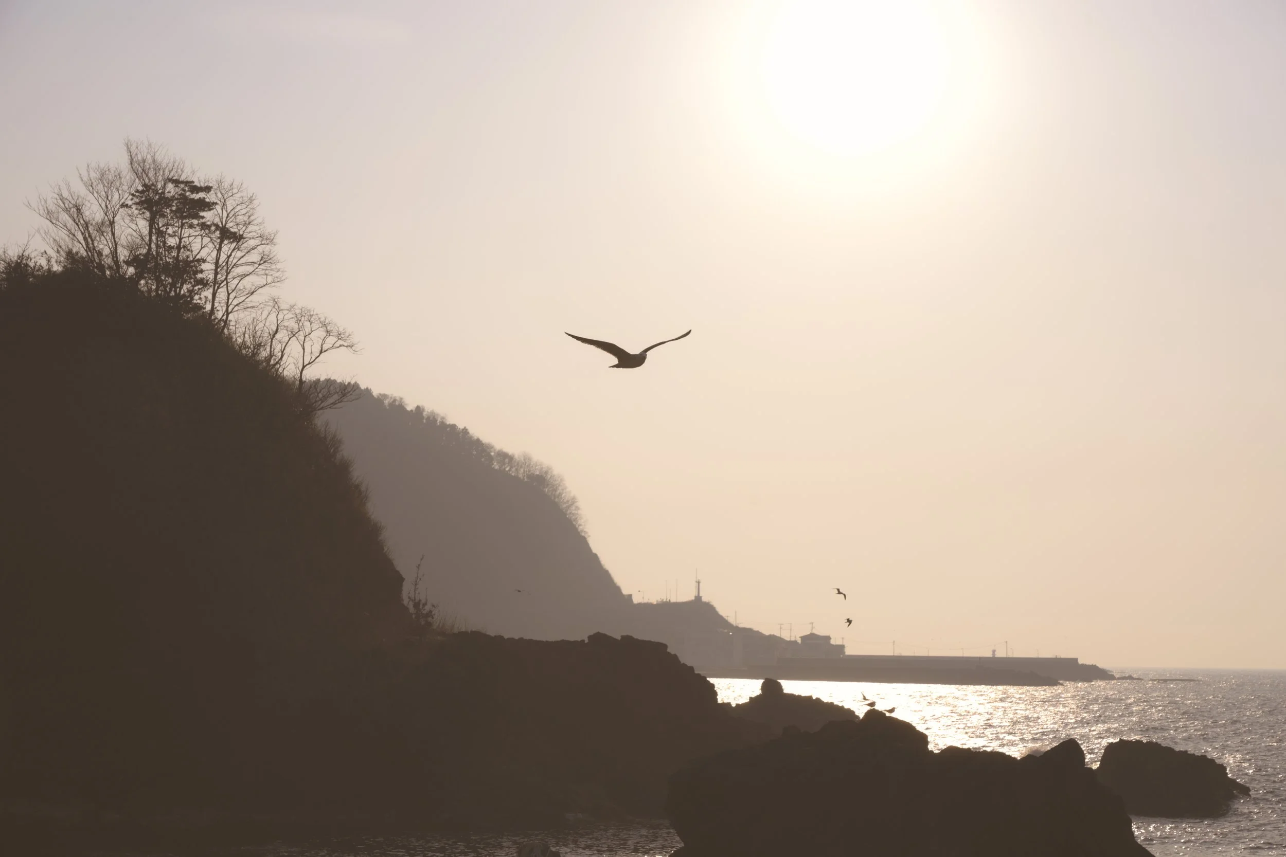 徒歩で日本縦断の旅 Walking Across Japan 71