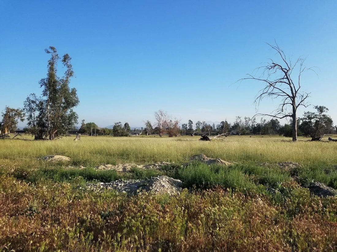 2021, California #1.jpg