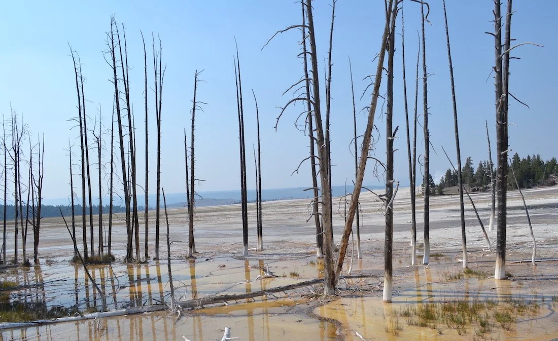 2012, Wyoming #3.JPG