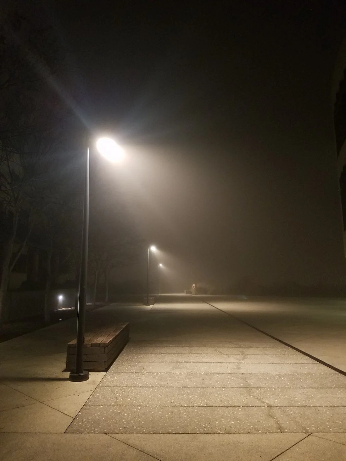 2017, California #3.jpg