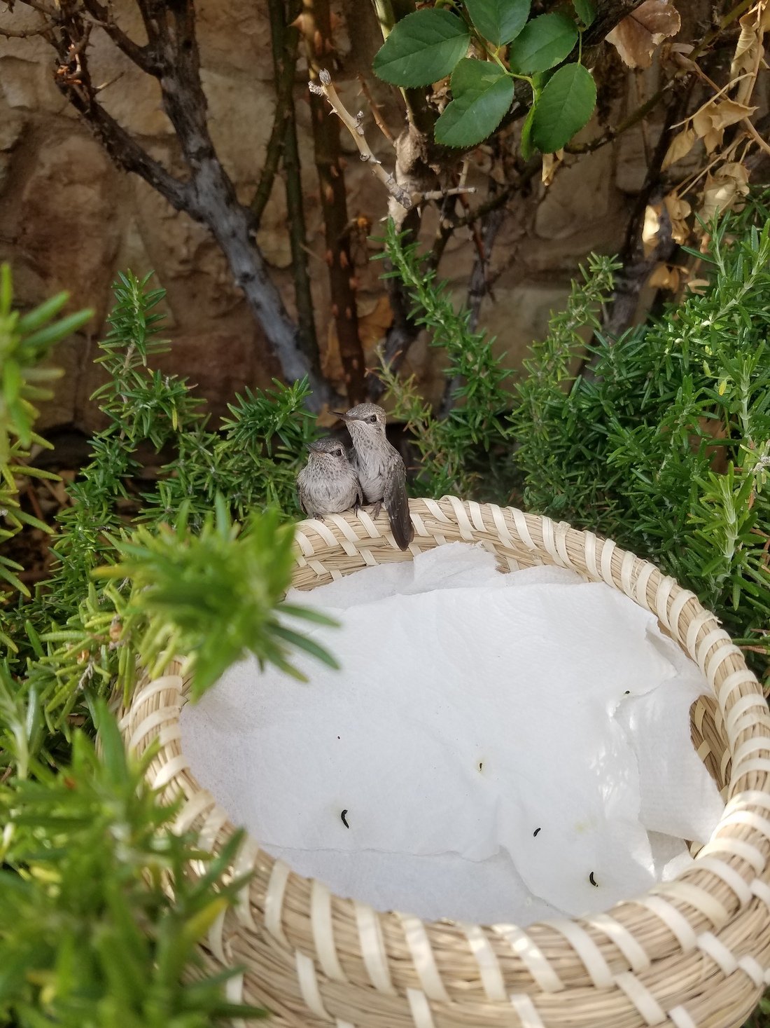 2021, California #3.jpg