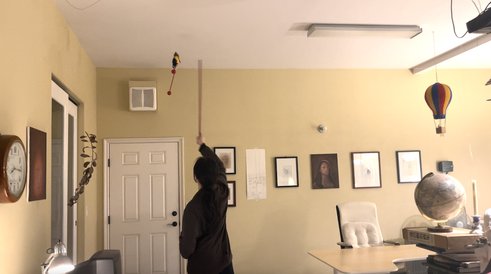 Playing With Balancing Bear#2.png