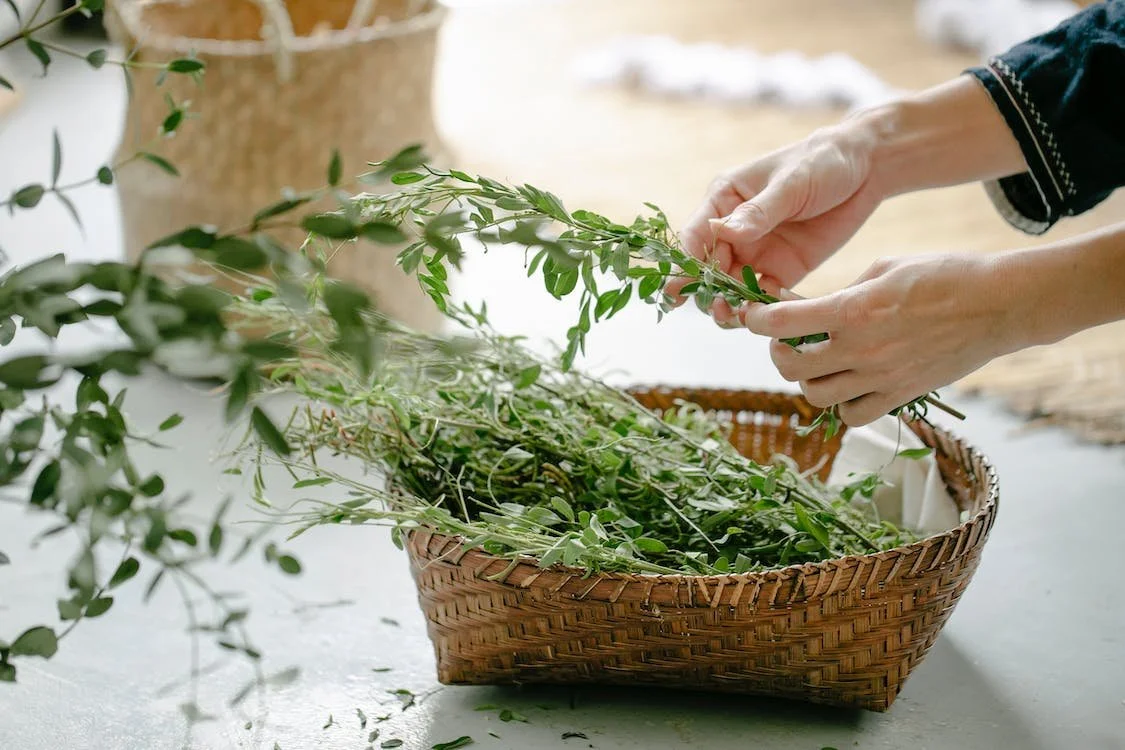 Healing Herbs