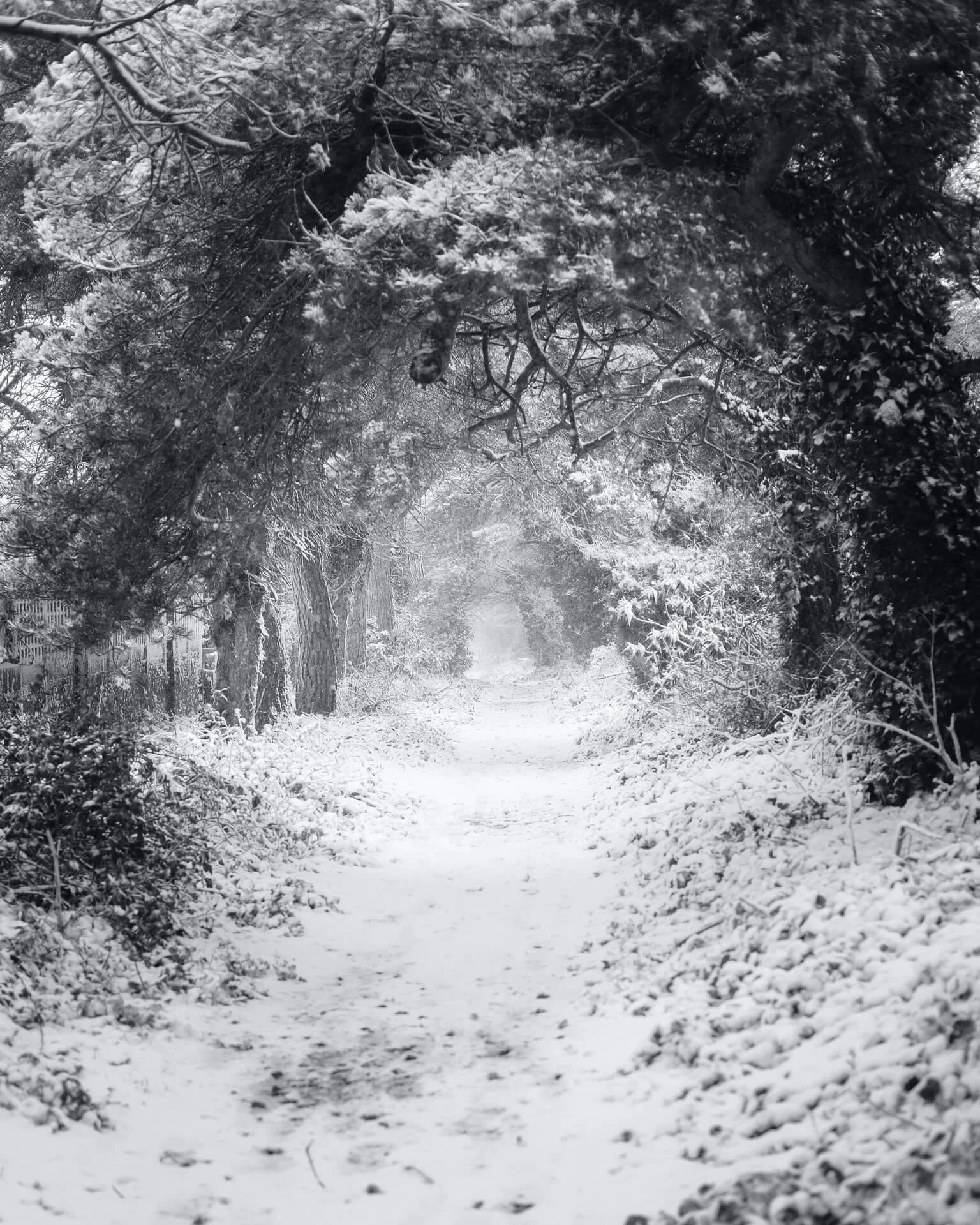 Aldeburgh Snow Scene down the old railway track