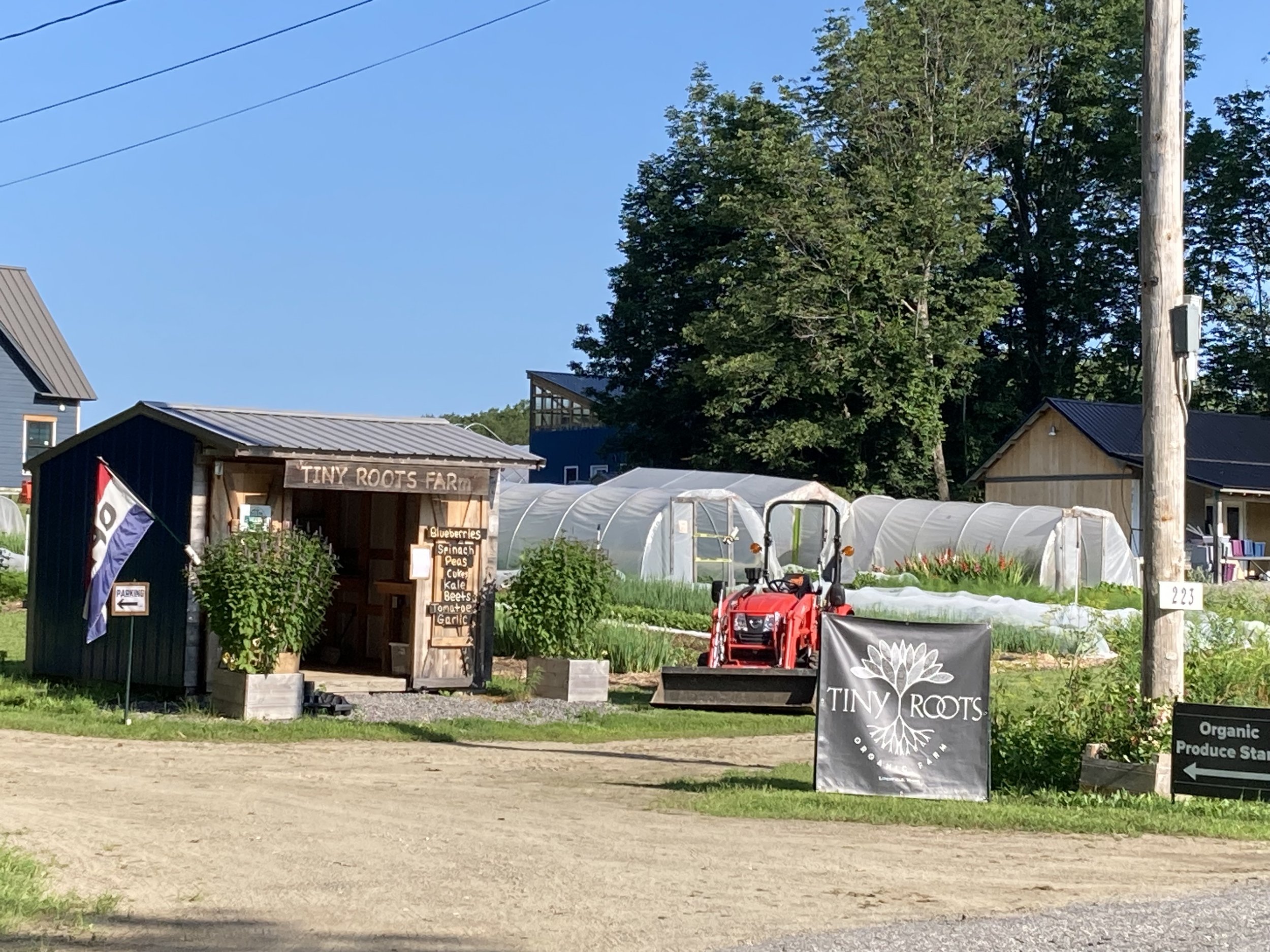 Small farm stand named Tiny Roots Farm with a sign listing blueberries, spinach, peas, cucumbers, kale, beets, tomato, and garlic; greenhouse structures behind it; tractor in front; various plants and trees around.