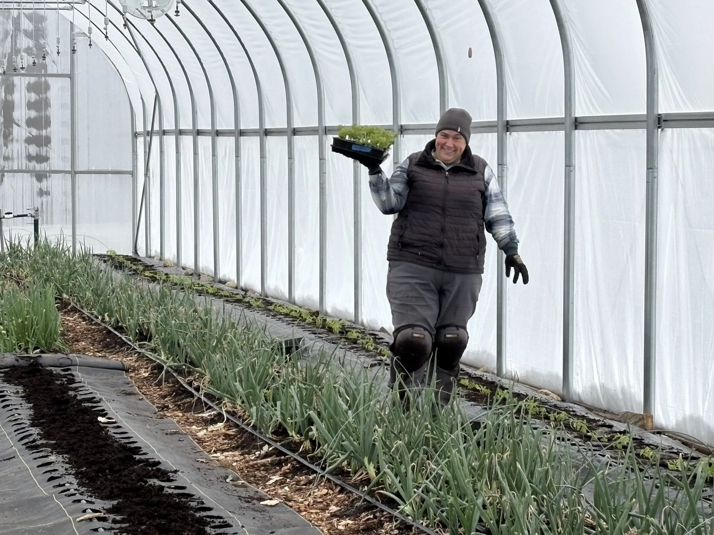 A smiling man wearing a beanie, gloves, and outdoors clothing, holding a tray of seedlings inside a greenhouse with rows of plants.