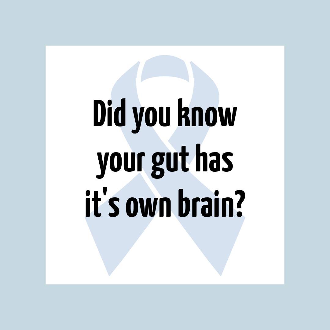 ✨ Did you know 95% of your serotonin production occurs in your gut?!
✨ Serotonin is a hormone that makes us feel really awesome.
✨ When things are awry with your gut, everything else can feel off because of this incredible connection. 
✨ Taking care 