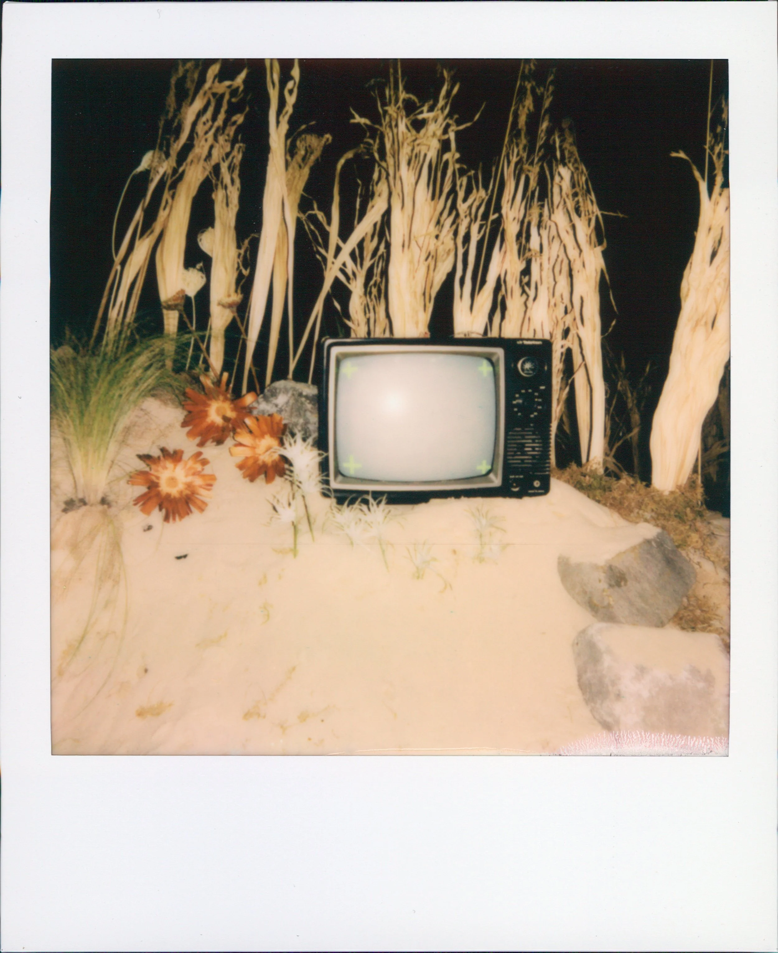 2022-04-12 (1) 0001.jpg