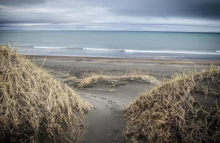 Íbúafundi Heidelberg frestað að beiðni heimamanna.