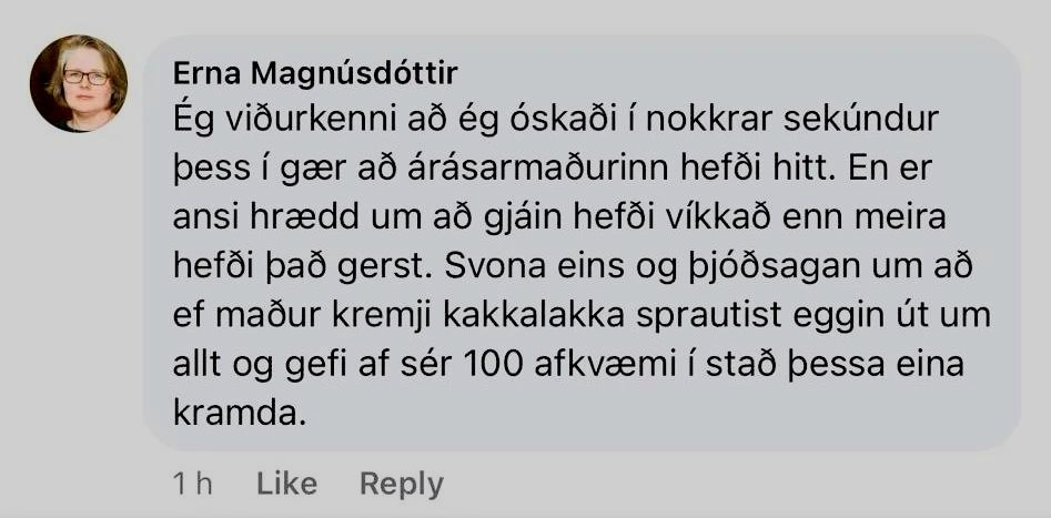 Voðaverk með tilvísun í íslenskt samfélag