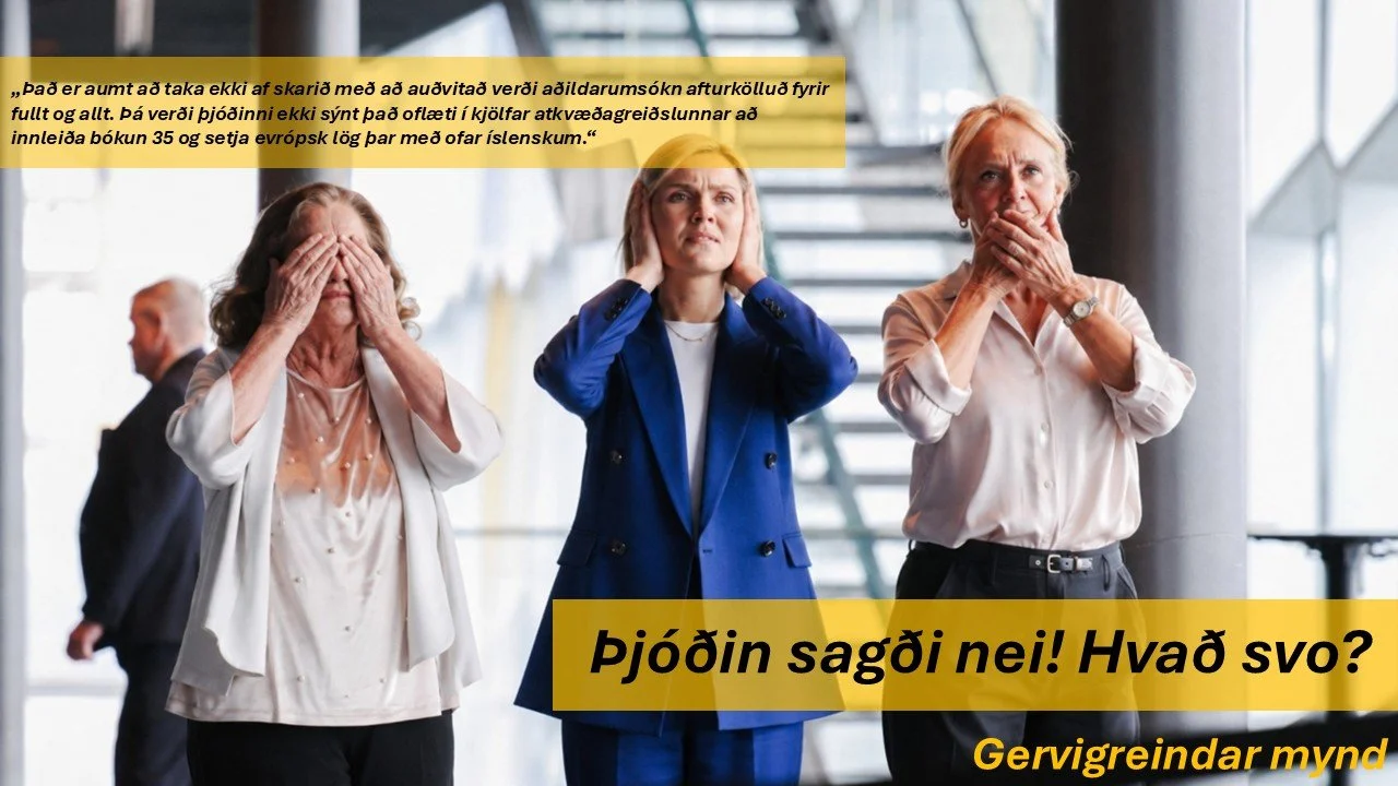 Þjóðin sagði Nei! Hvað svo?
