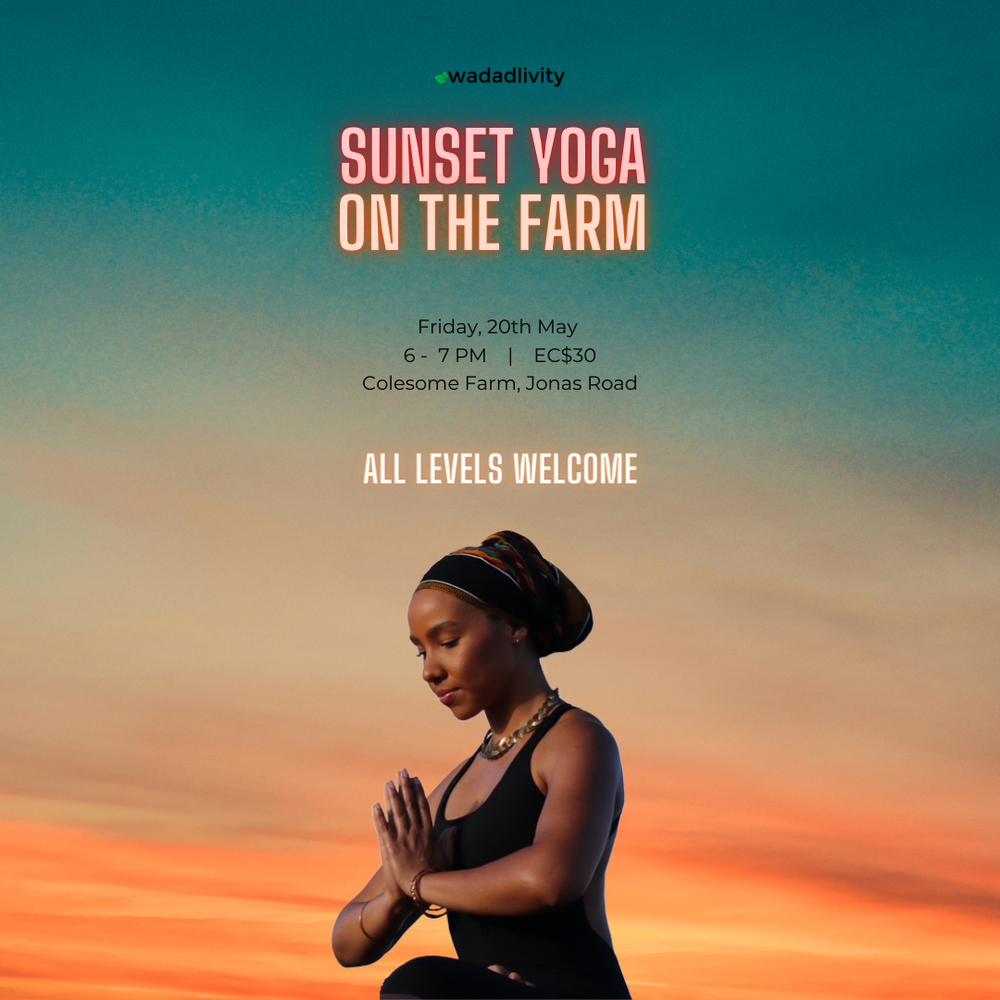 Sunset Yoga on the Farm.PNG