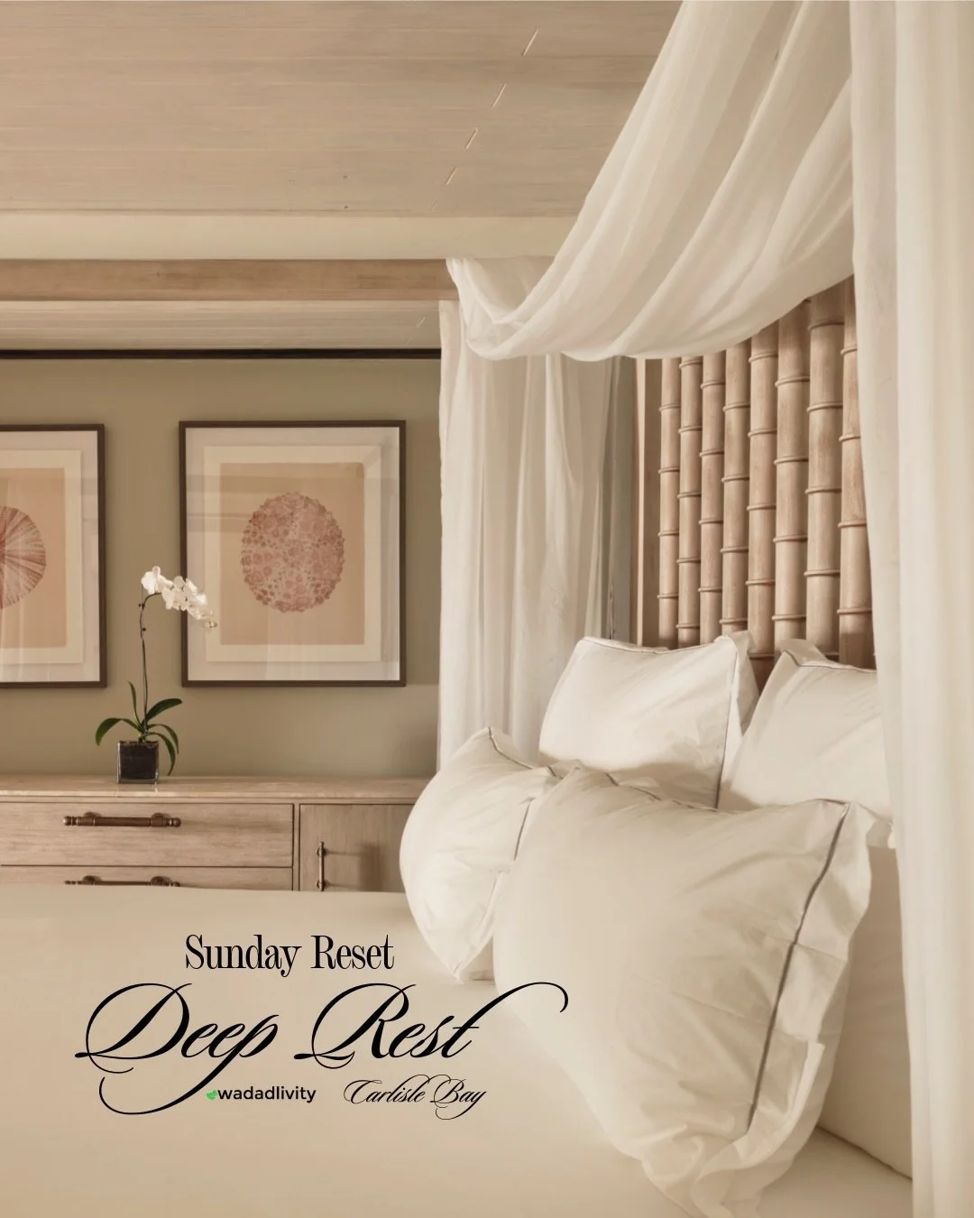 Step into a weekend designed for deep rest, quiet luxury, and unhurried connection.

For the first time, Sunday Reset expands into a two‑day, one‑night retreat at the award‑winning Carlisle Bay Resort, offering guests a rare opportunity to experience