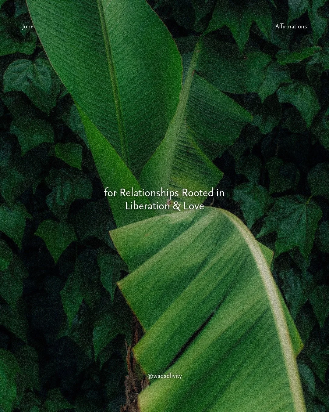June energy: releasing what drains us, repairing what matters, and choosing relationships that nourish our spirit.

🌱 Save these affirmations for your daily grounding.
🌱 Share with someone you&rsquo;re growing alongside