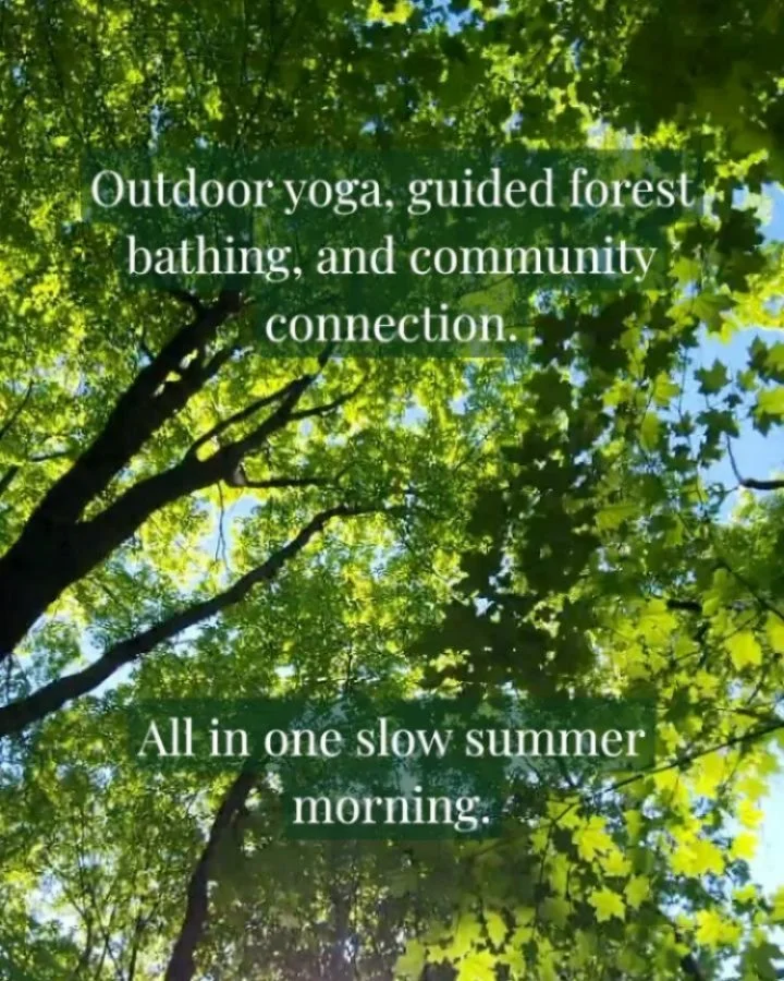 Slow down and spend a summer morning in nature. Join me for a Morning Retreat designed to help you step away from the busyness of daily life and connect with yourself, the natural world, and community. 

We'll begin with a gentle outdoor yoga practic