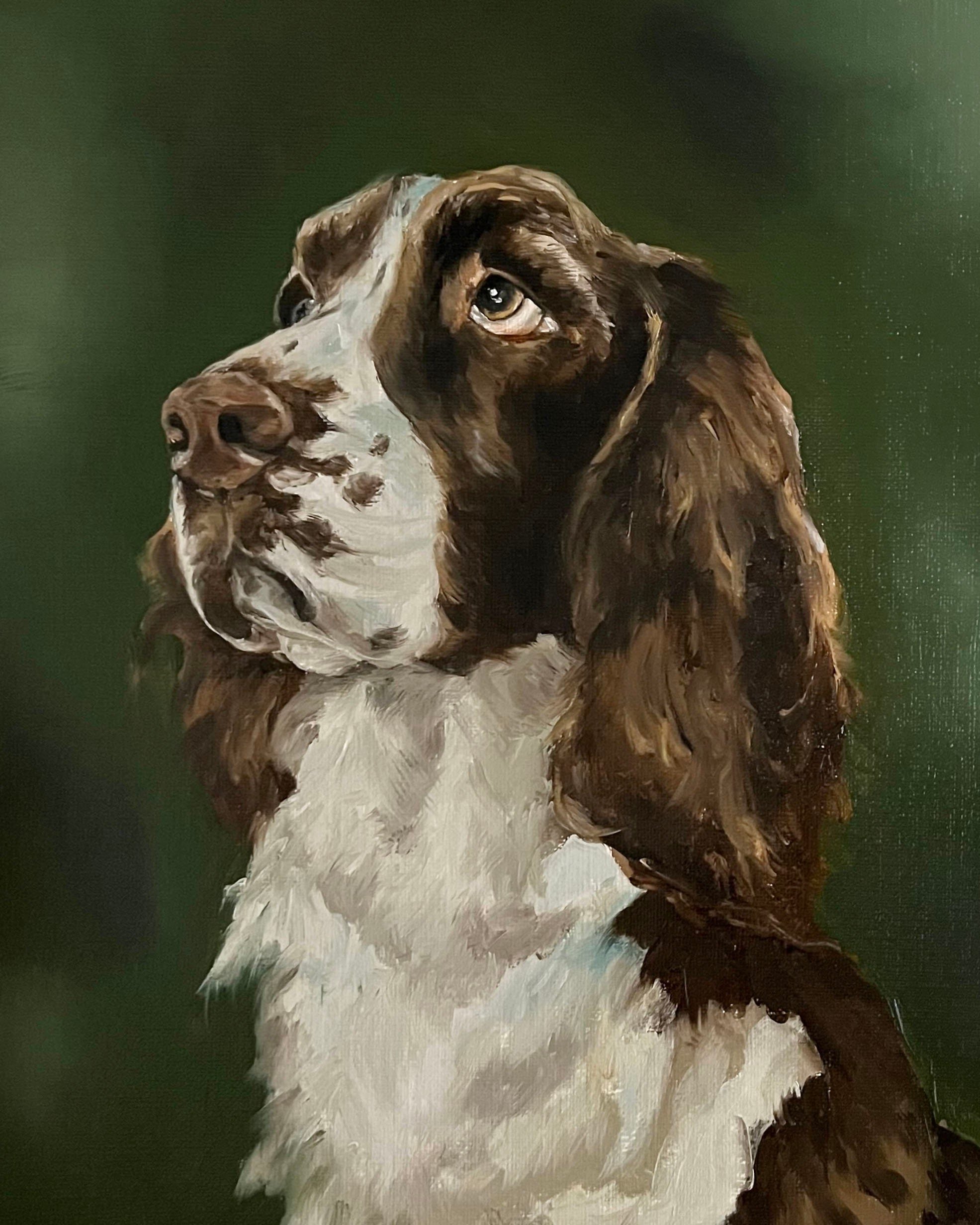 Custom Pet Oil Painting Portrait