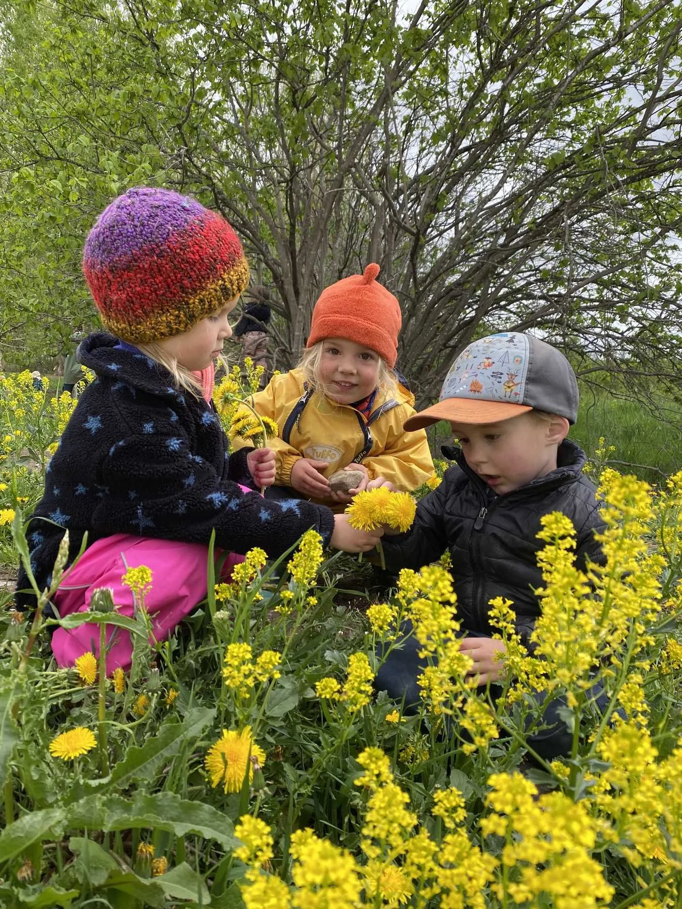 forest-school-children-spring-dandelions.jpg