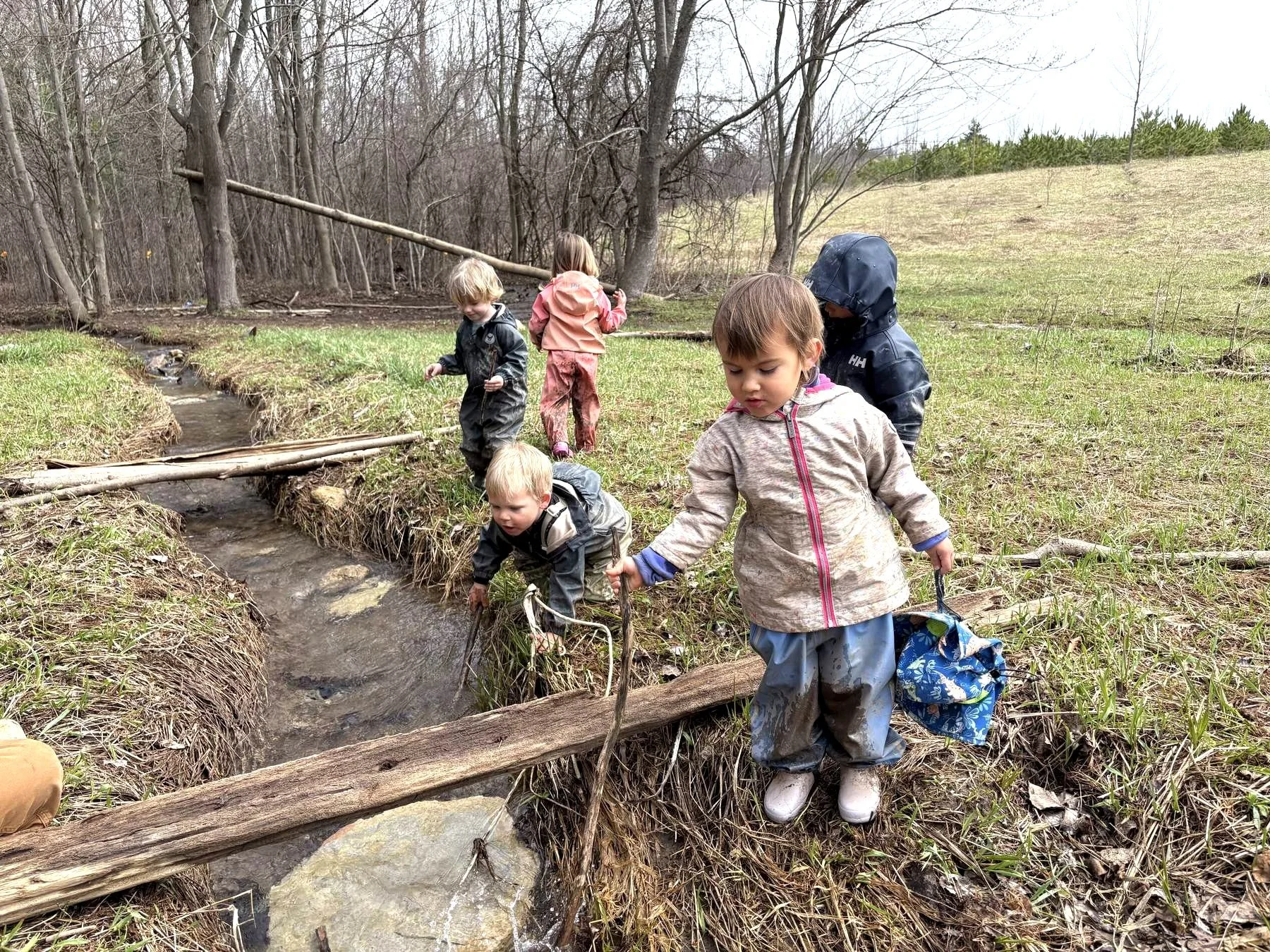 hundred-acre-wood-children-outdoor-learning-stream.jpg