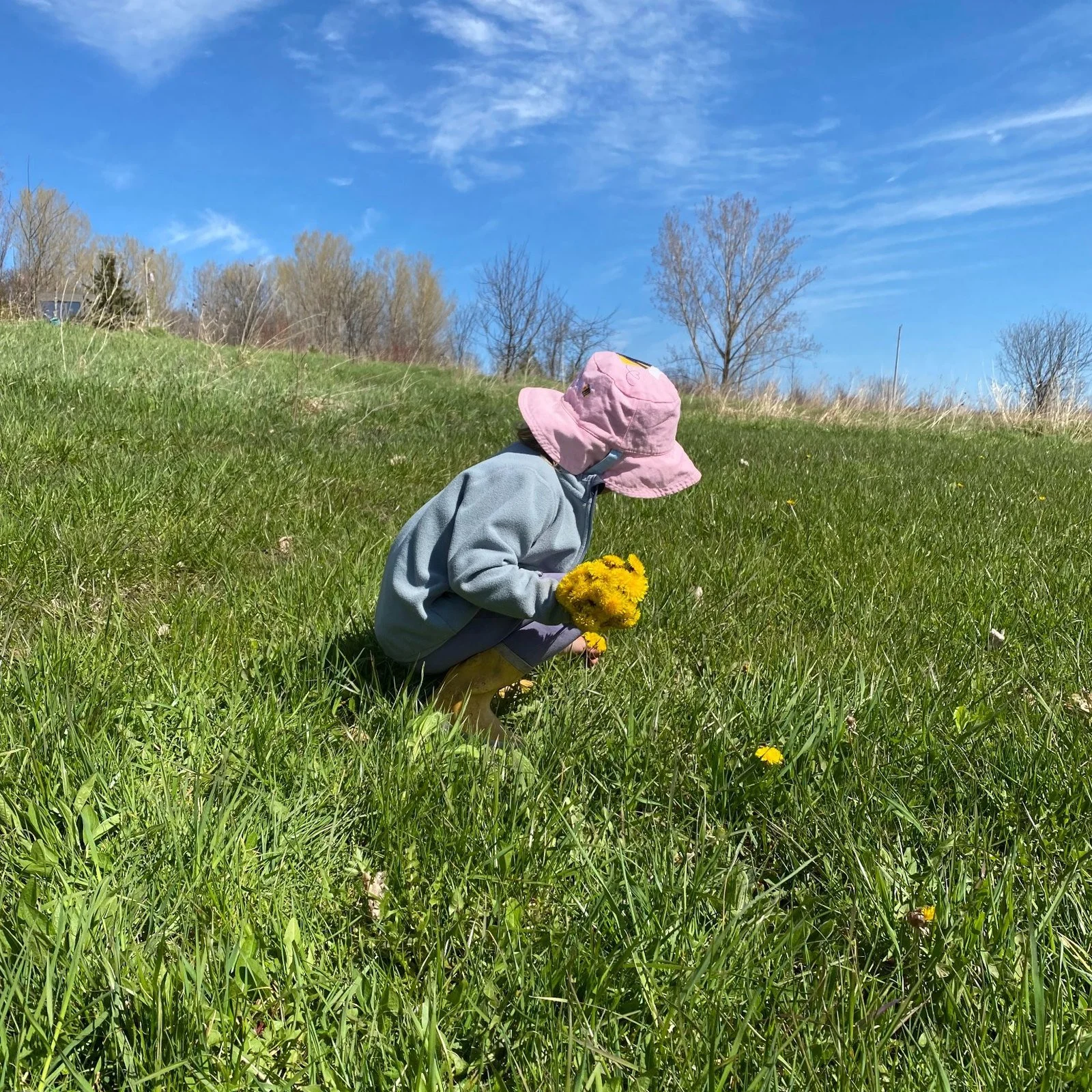 How Hundred Acre Wood Came to Be