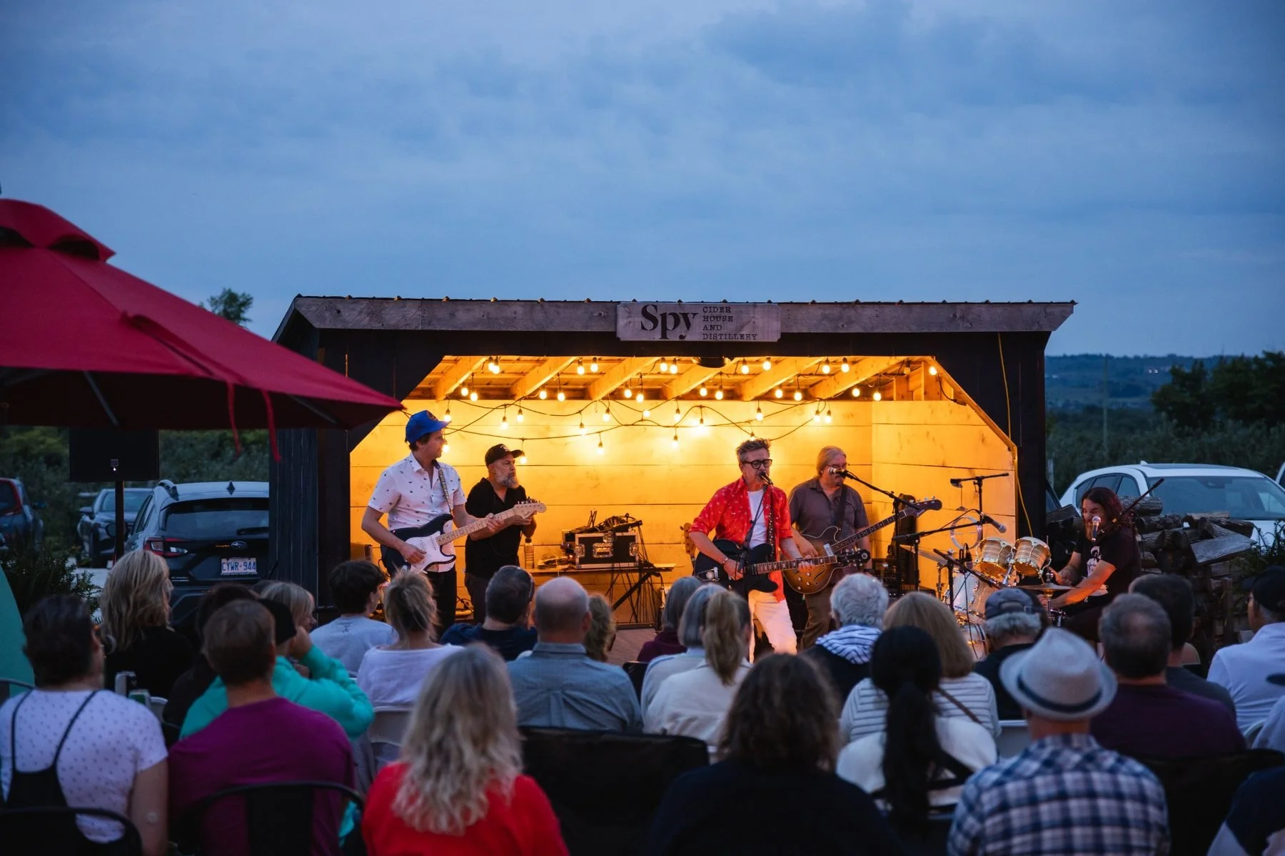 hundred-acre-wood-concert-under-the-stars-crowd-danny-michel.jpg