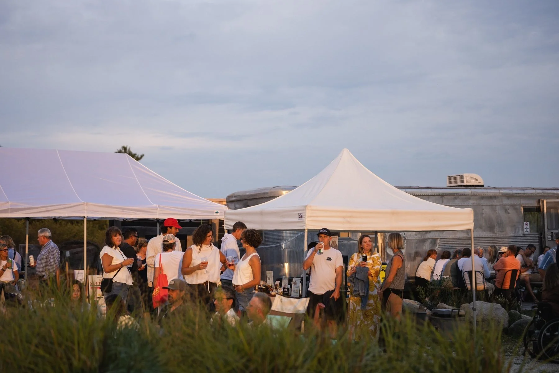 hundred-acre-wood-concert-under-the-stars-community.jpg
