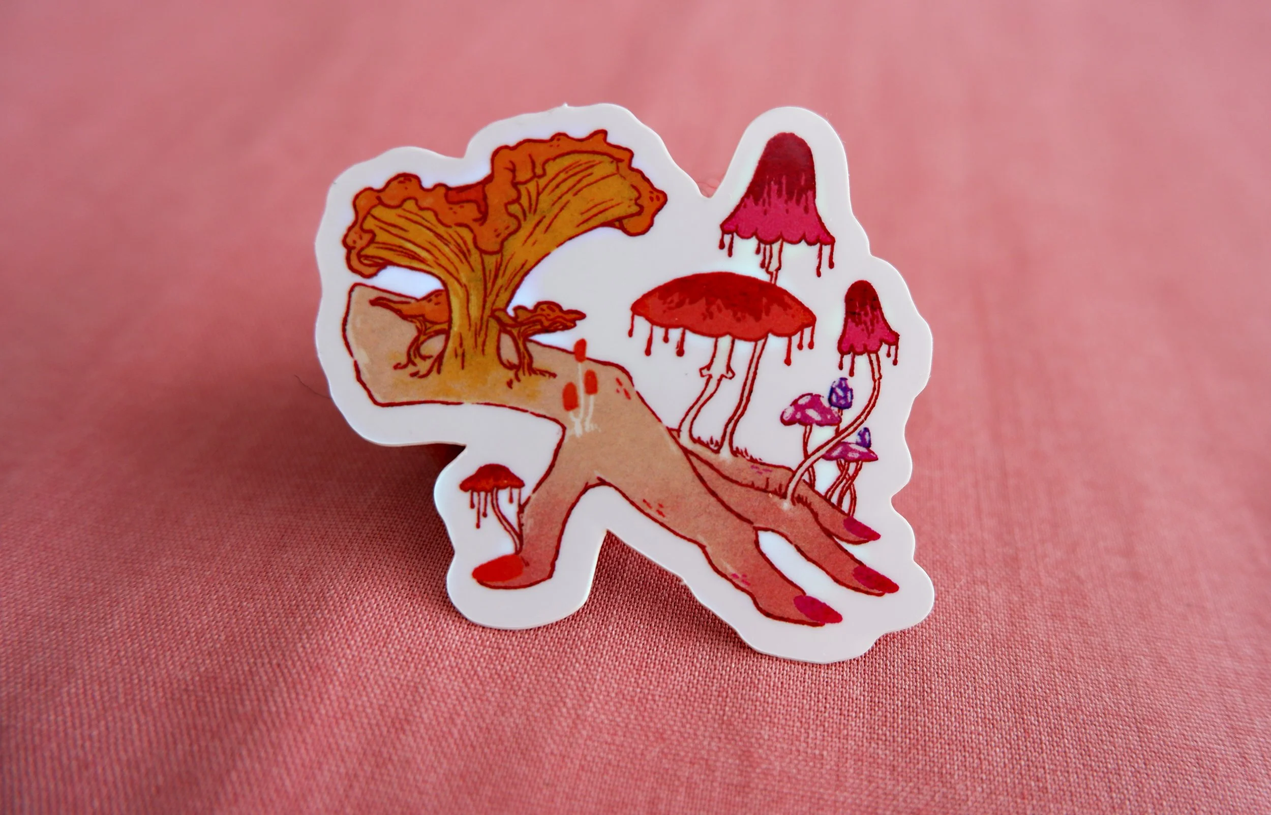 Decay & Growth | Funghi Hand
