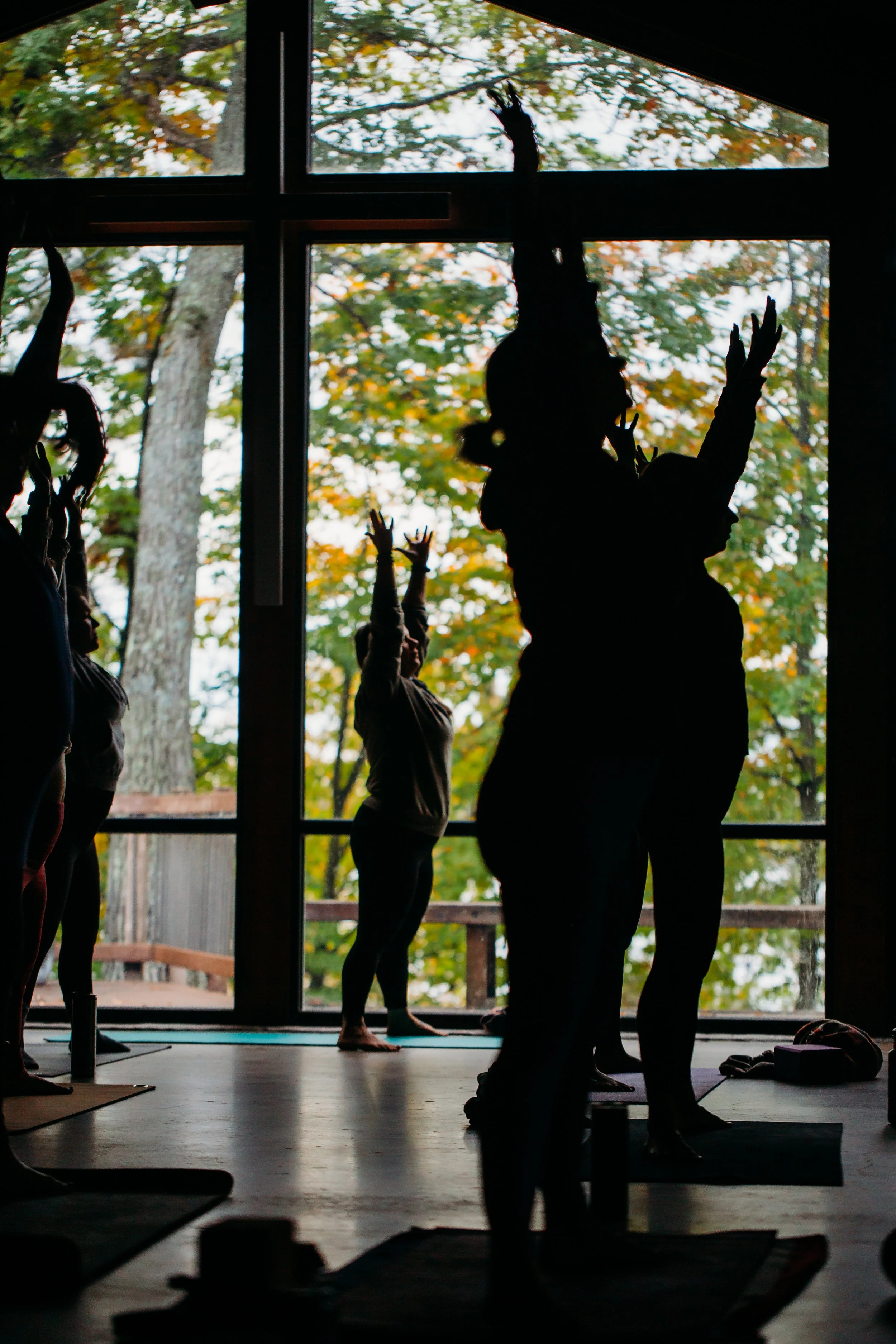 Silhouettes of people doing yoga indoors in front of large window with trees outside.