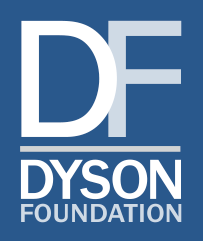 dyson foundation.png