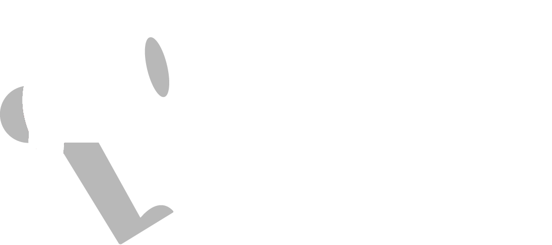 Projet Mégaphone