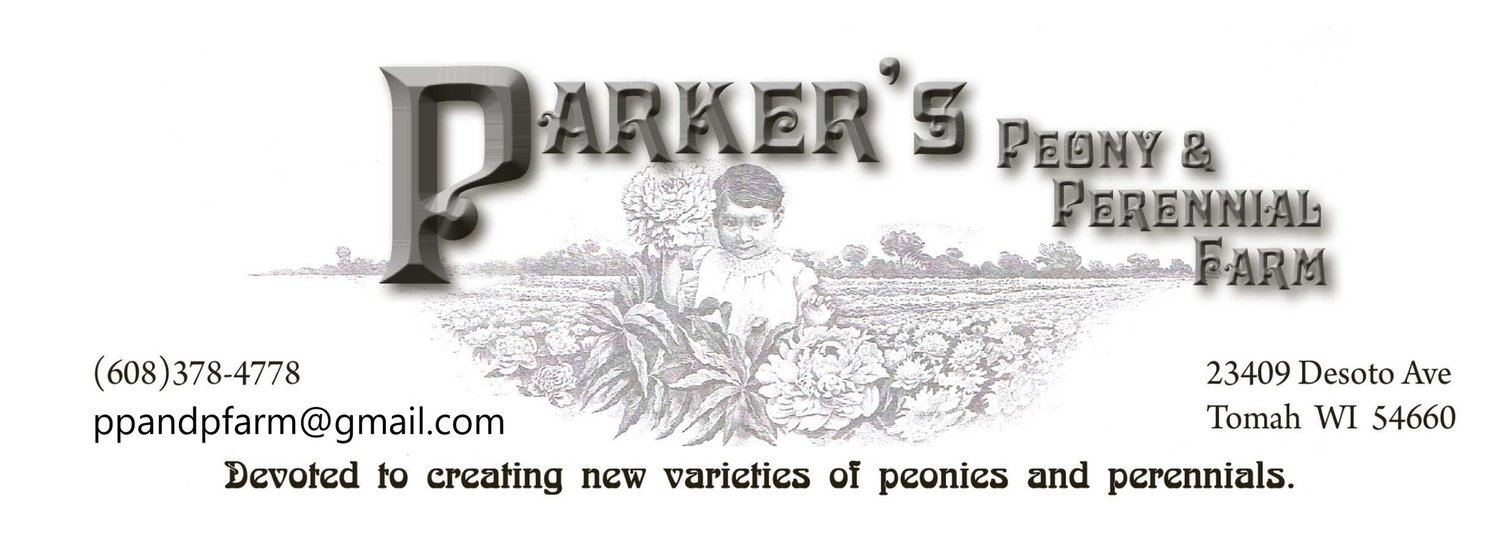 Parker&#39;s Peony &amp; Perennial Farm 