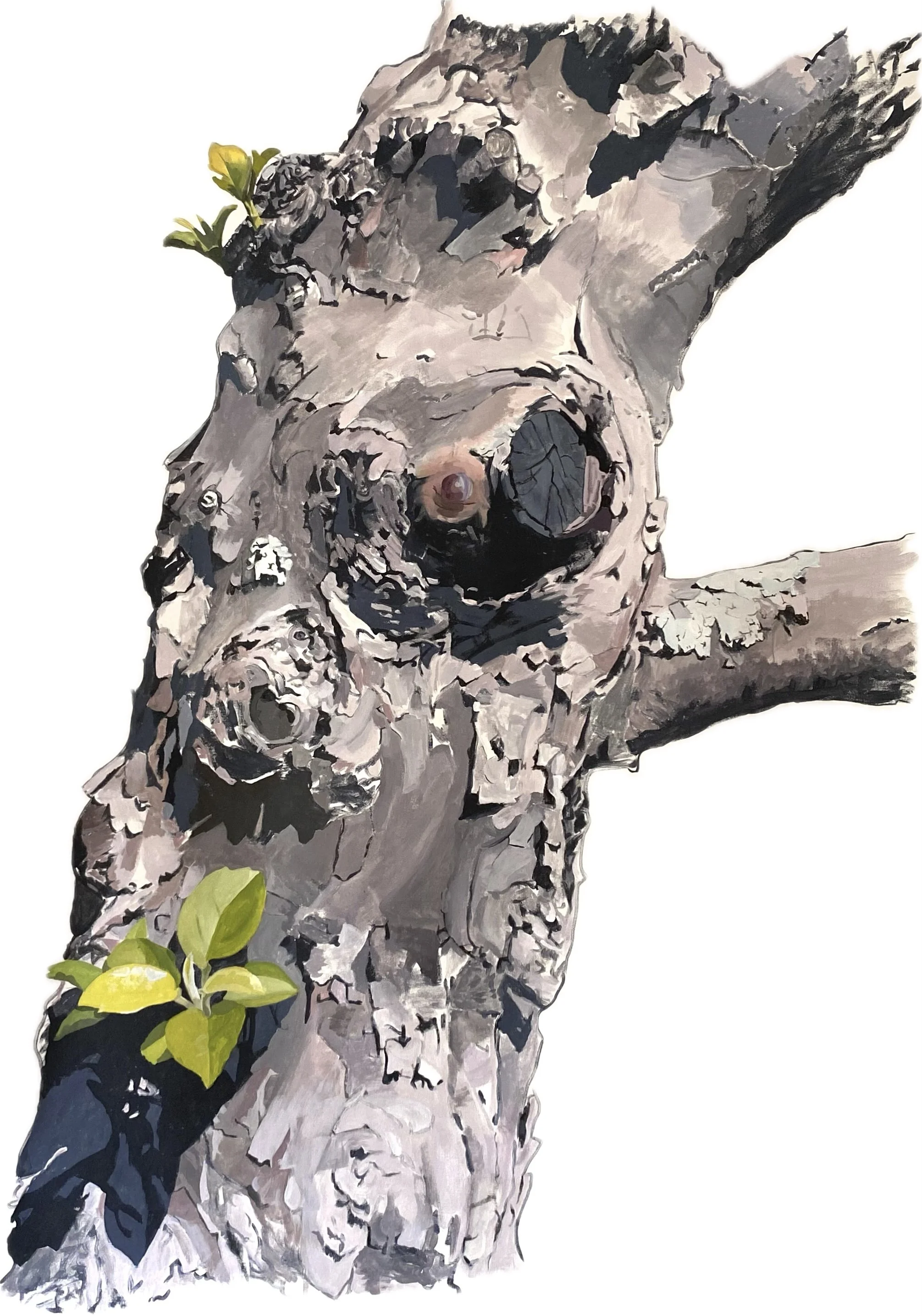 Apple Tree 13 (Leaning), 2025. acrylic on canvas, 70 x 60 in.