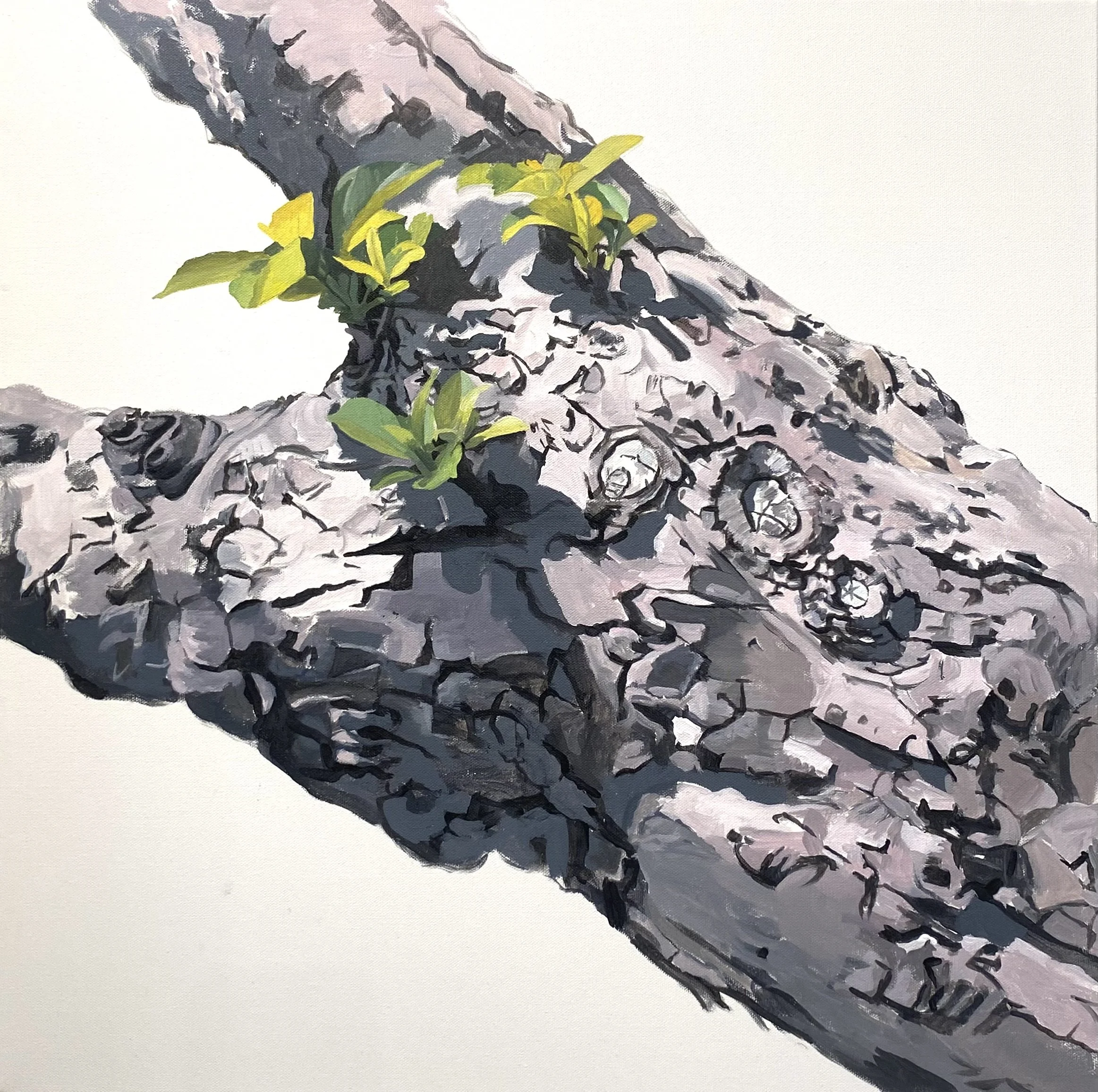 Long Torso, 2025. acrylic on canvas, 24 x 24 in.
