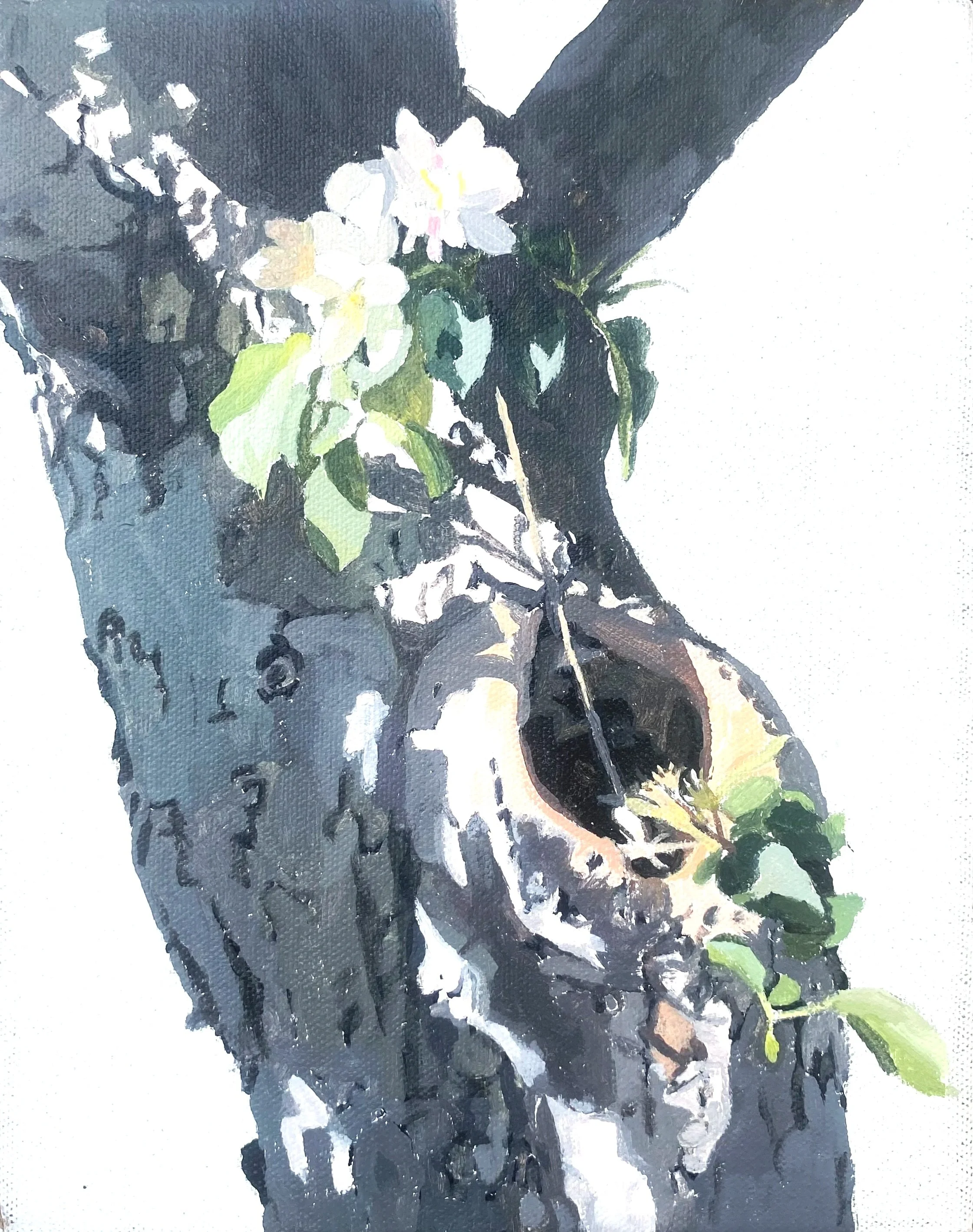 Apple Tree Orifice 4, 2024. acrylic on canvas, 10 x 8 in.