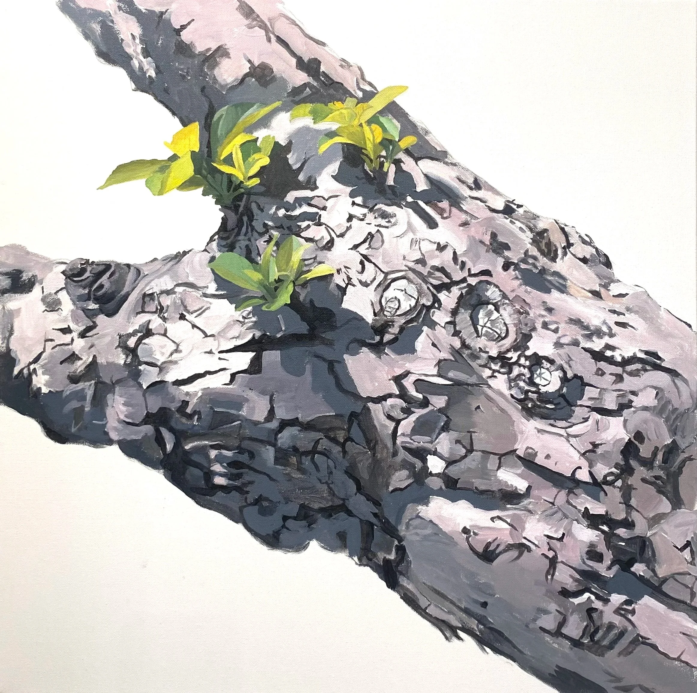 Apple Tree 11 (Long Torso), 2025. acrylic on canvas, 24 x 24 in.