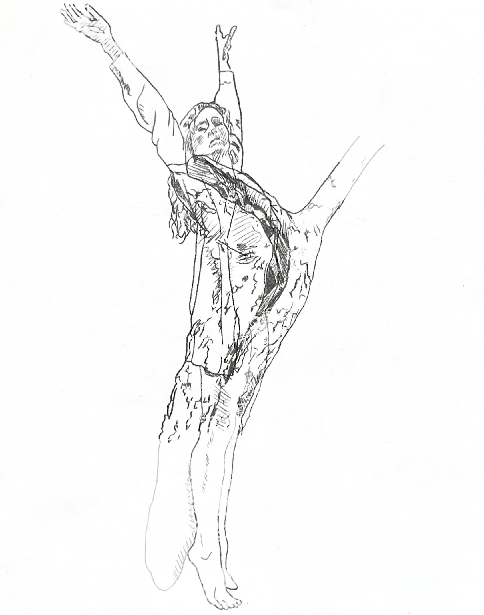 Daphne Tree Drawing 11