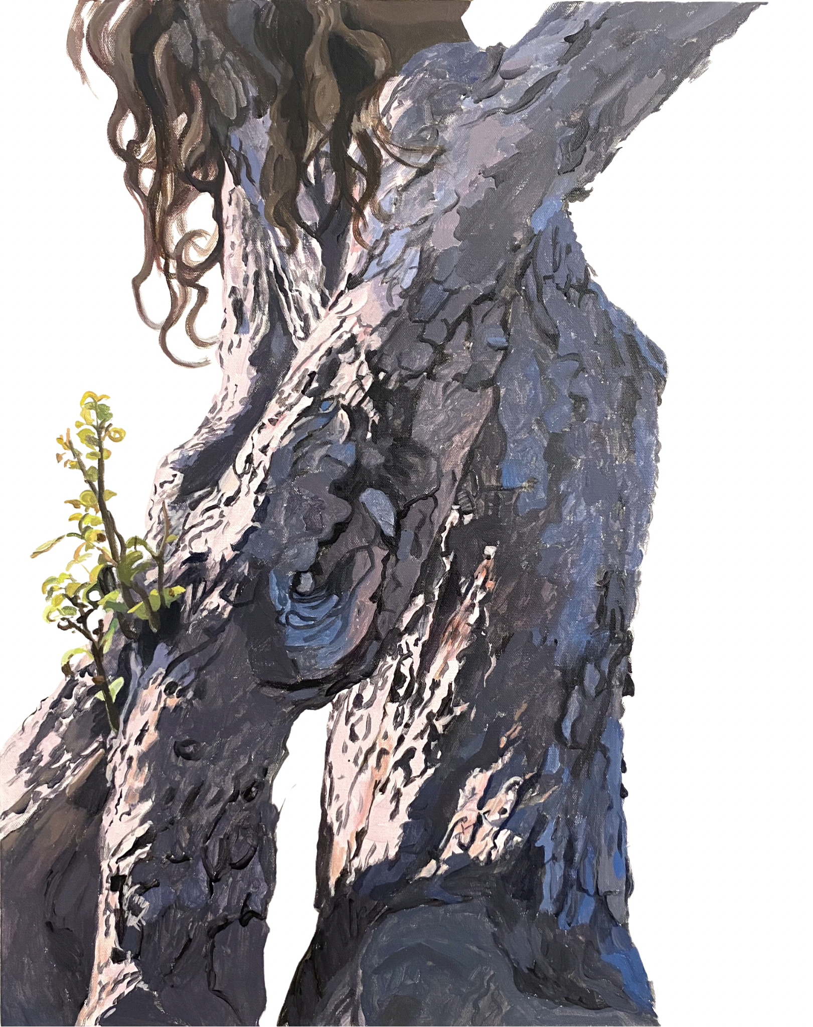 Apple Tree 22 - Daphne, Elbows-30x24.PNG