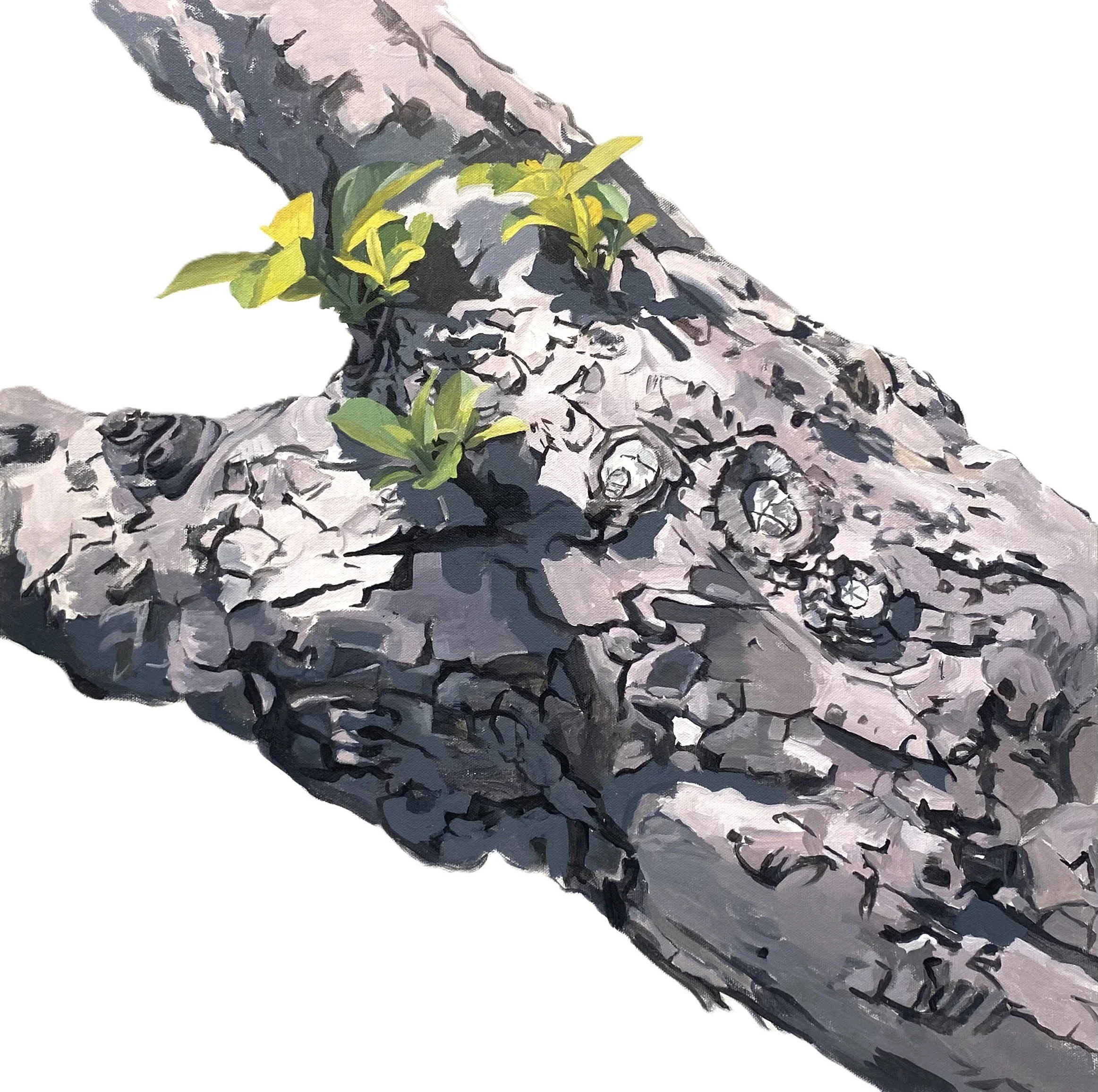 Apple Tree 11 (Long Torso), 2025. acrylic on canvas, 24 x 24 in.
