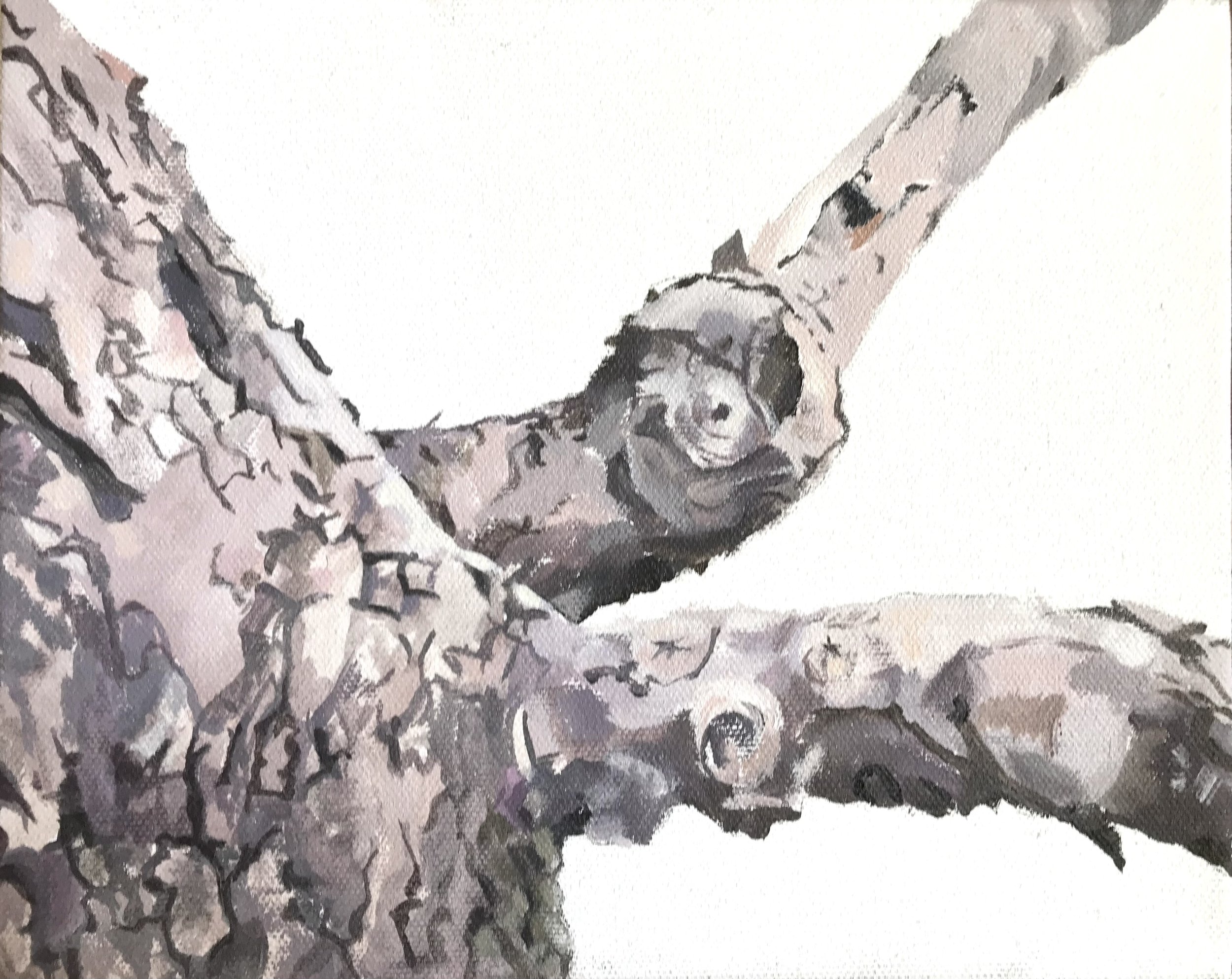 Study for Apple Tree 2, 2023. acrylic on canvas, 8 x 10 in.