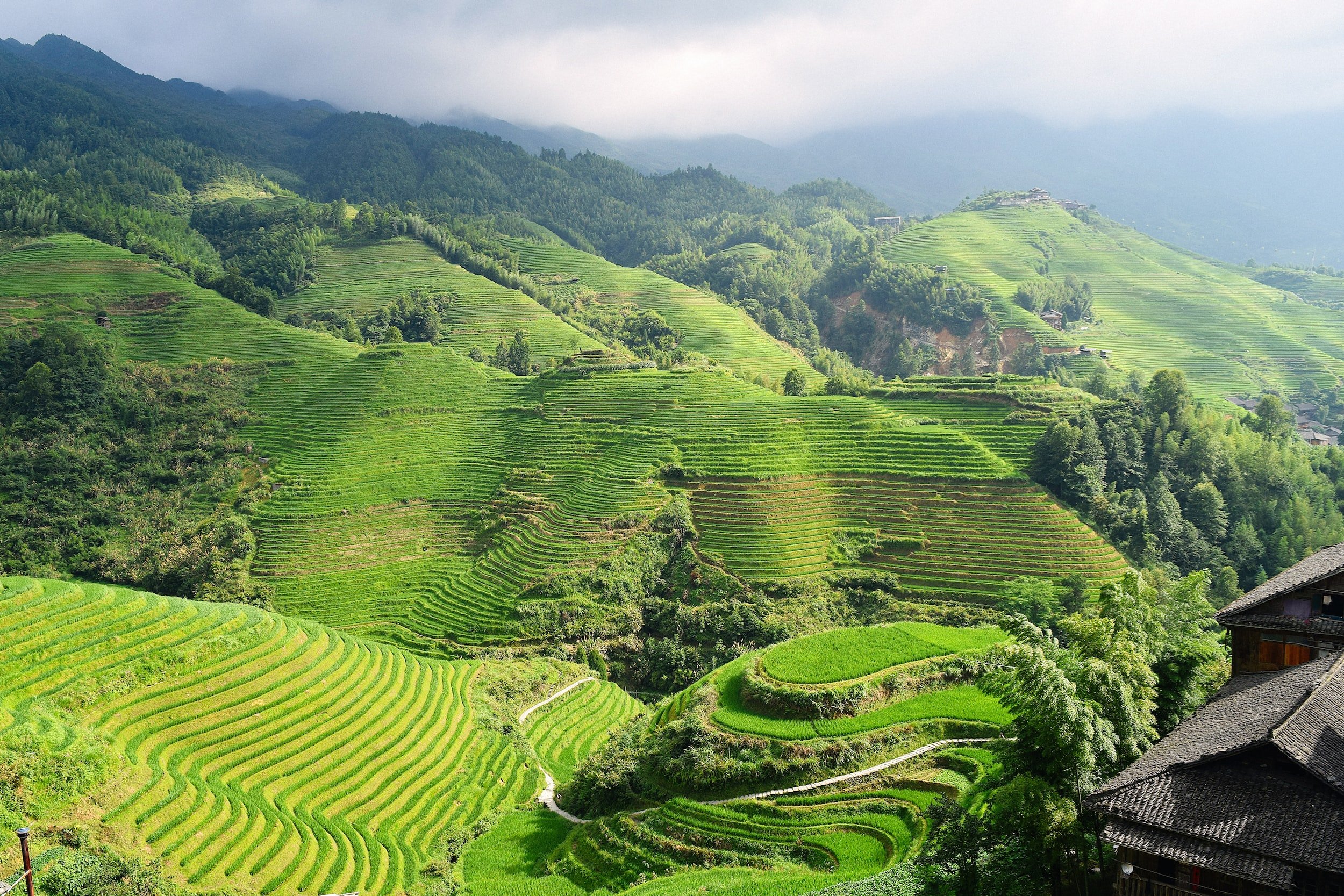 China’s ‘green’ trade credentials: what can we learn from a deeper dive?