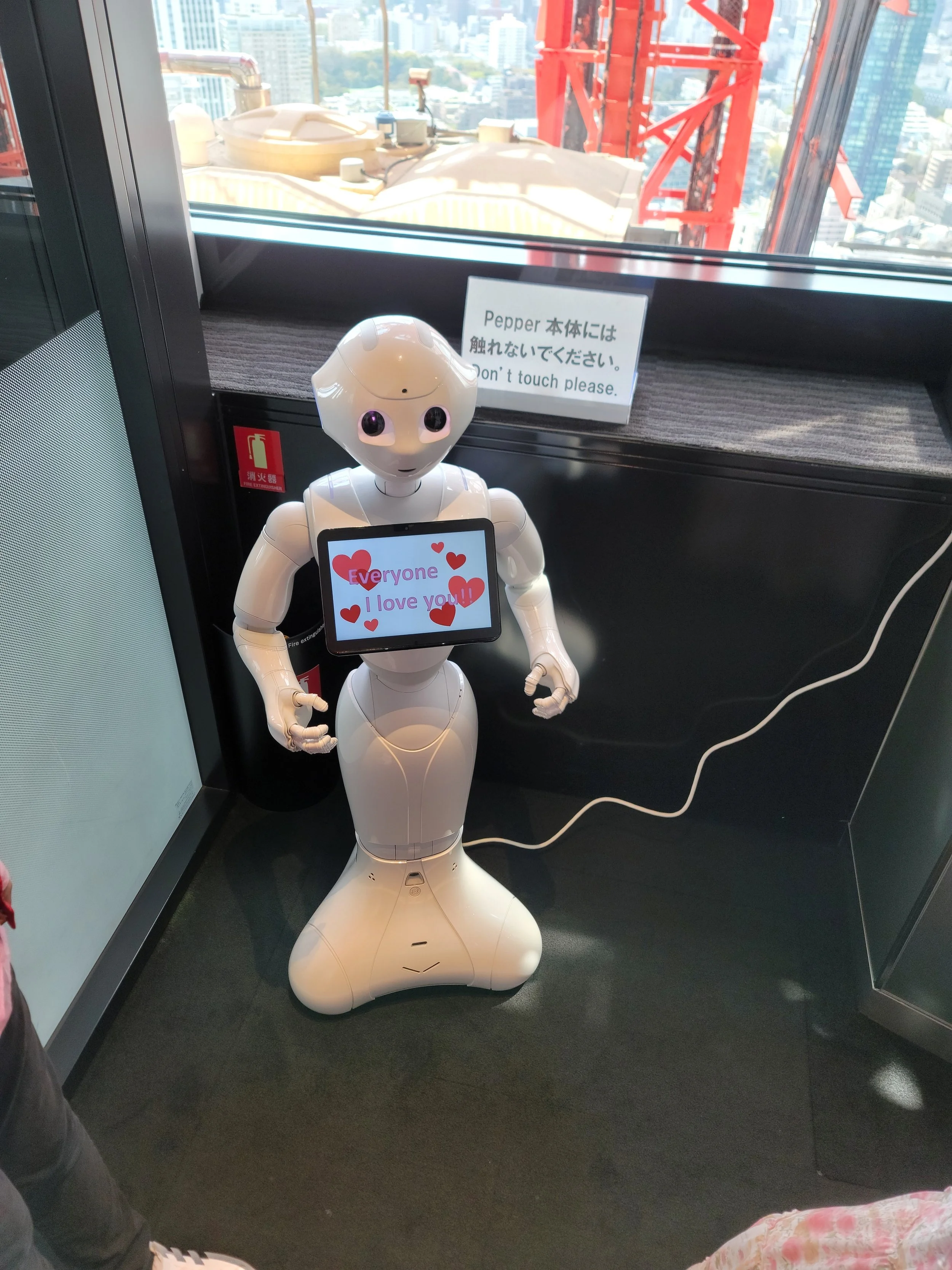Japan Trip Day 6: Bukimina Robotto (Pictures)
