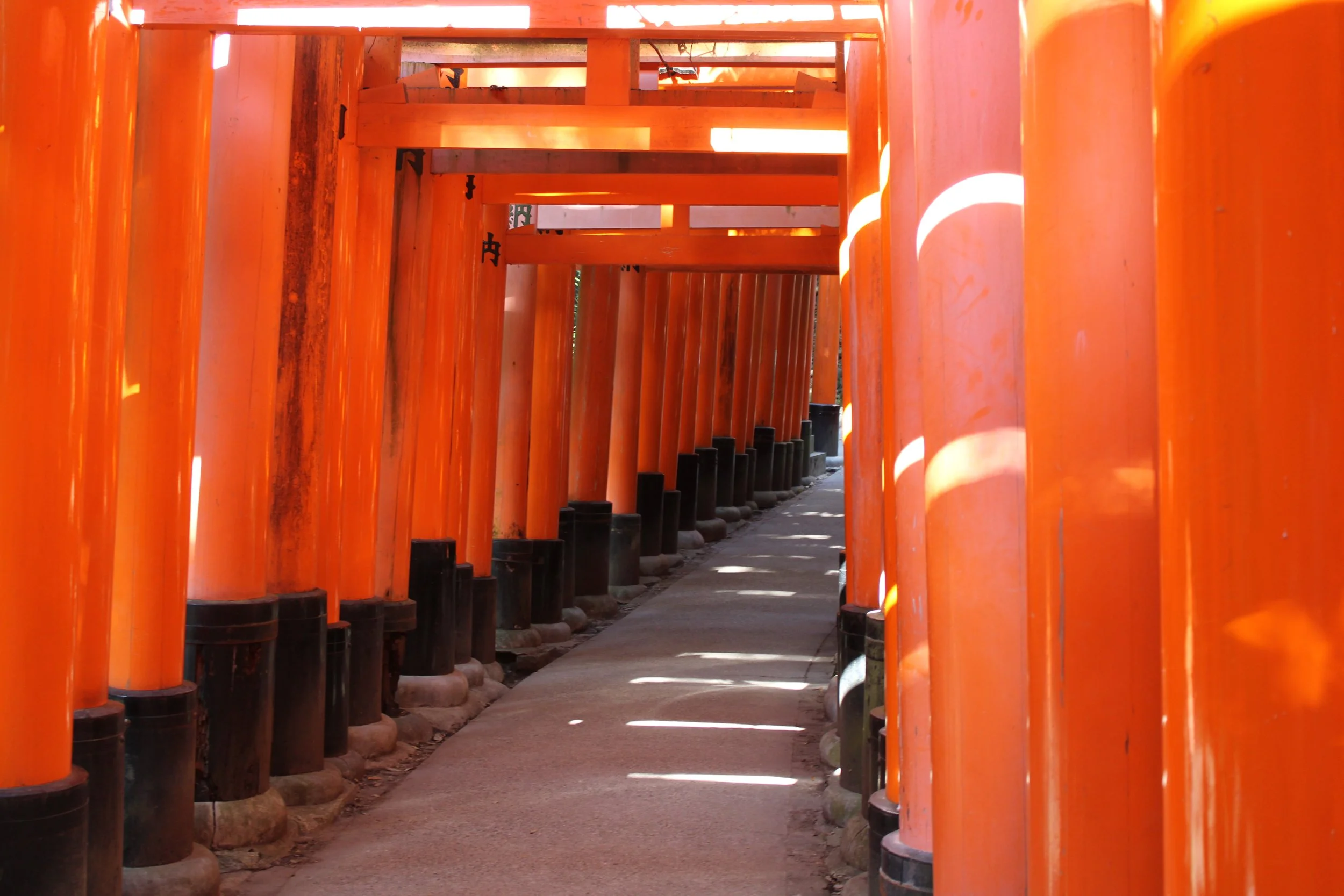 Japan Trip Day 7: Jinja (Pictures)