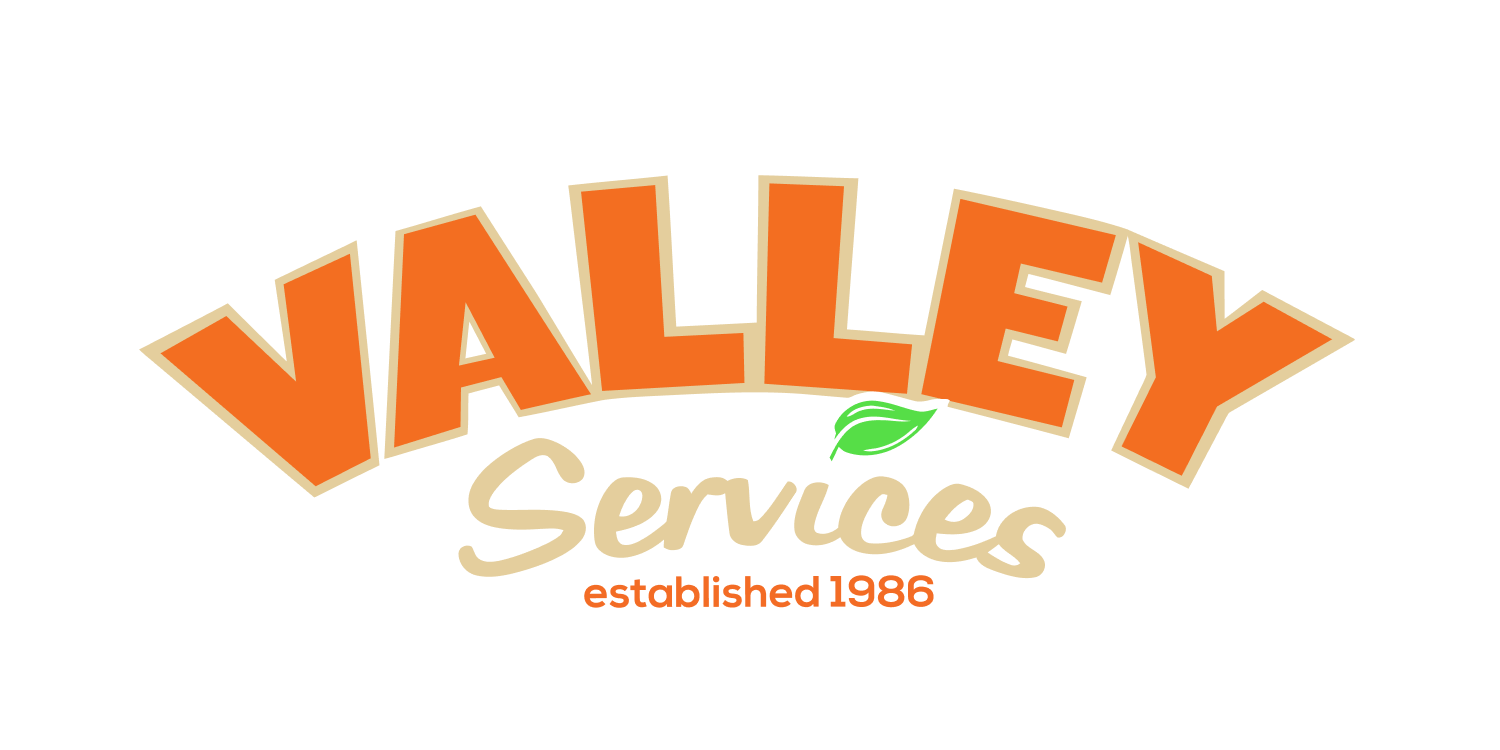 ValleyServices.png