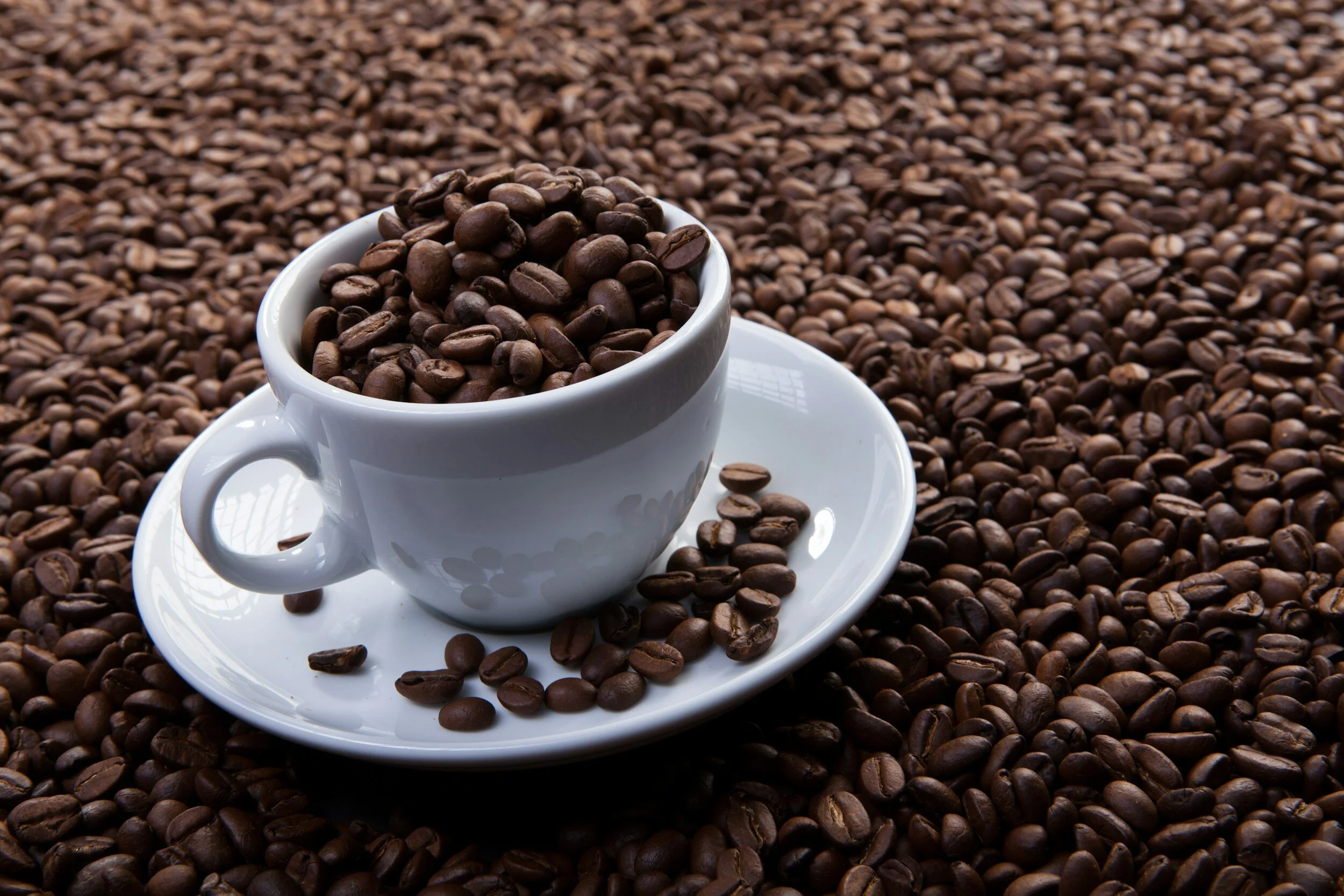 Live Free From All Addiction Class