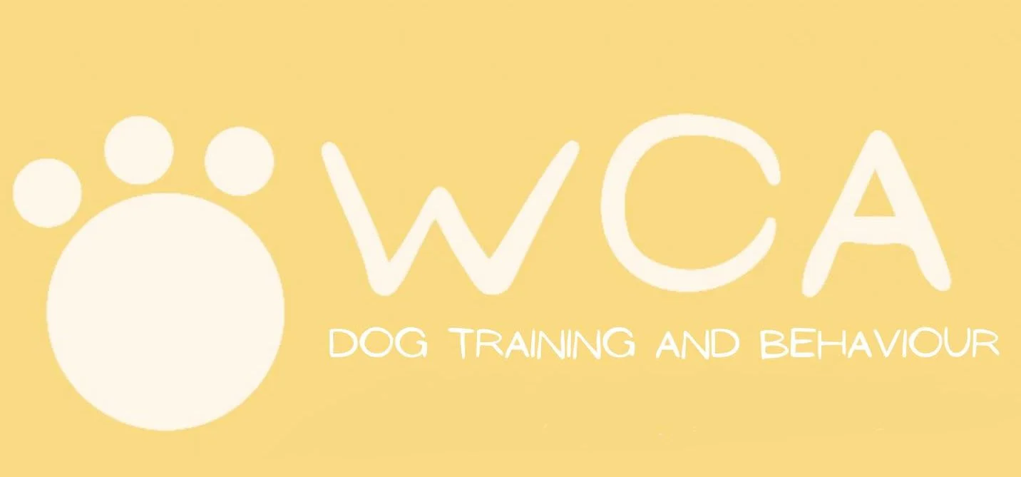 Wainwrights Canine Academy, Silsden at the Keighley Canine Collective