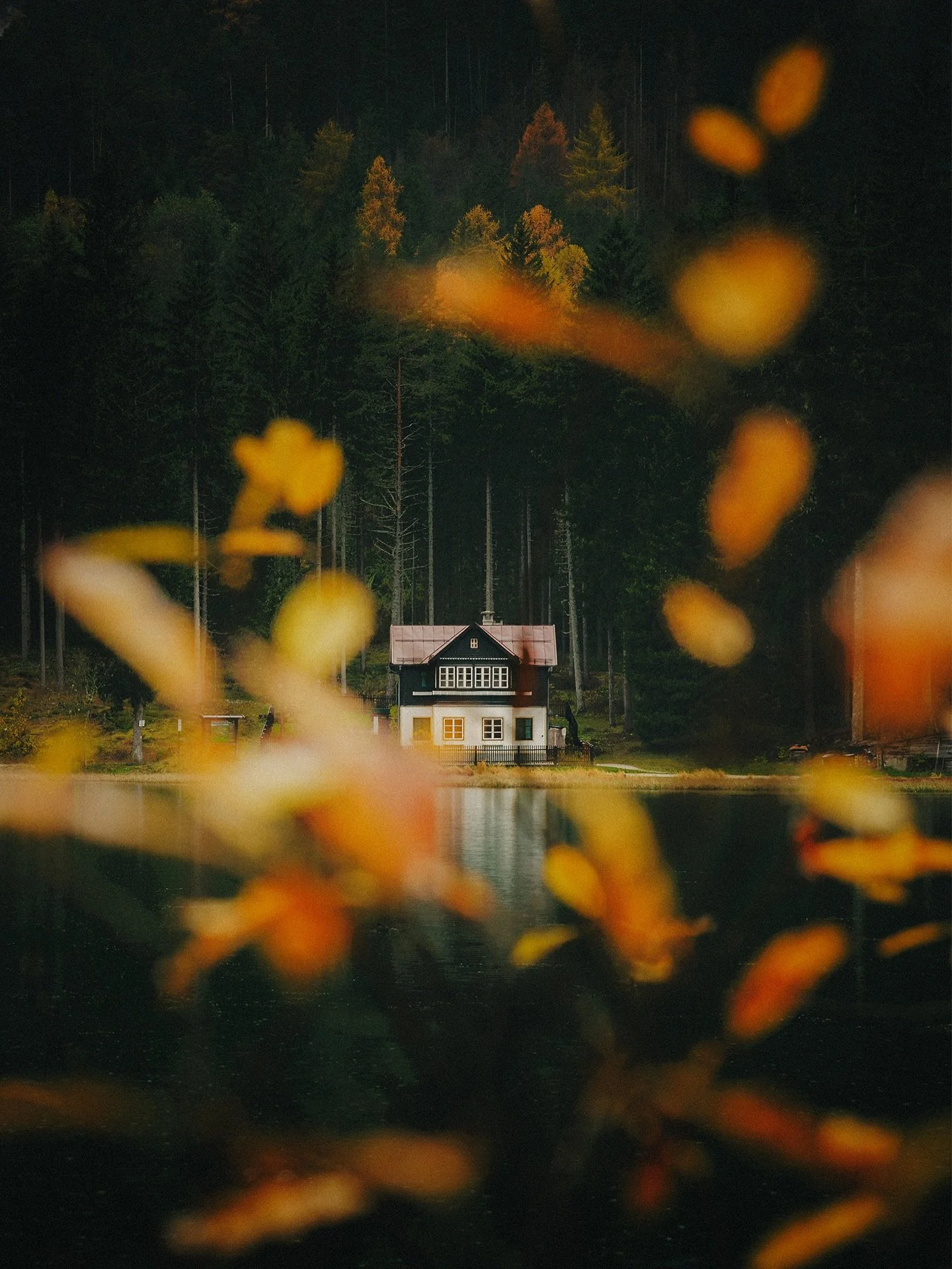 A short trip through the Dolomites, where roads twist between golden larches.

#dolomites #autumnvibes #slowtravel #landscapelovers #dji