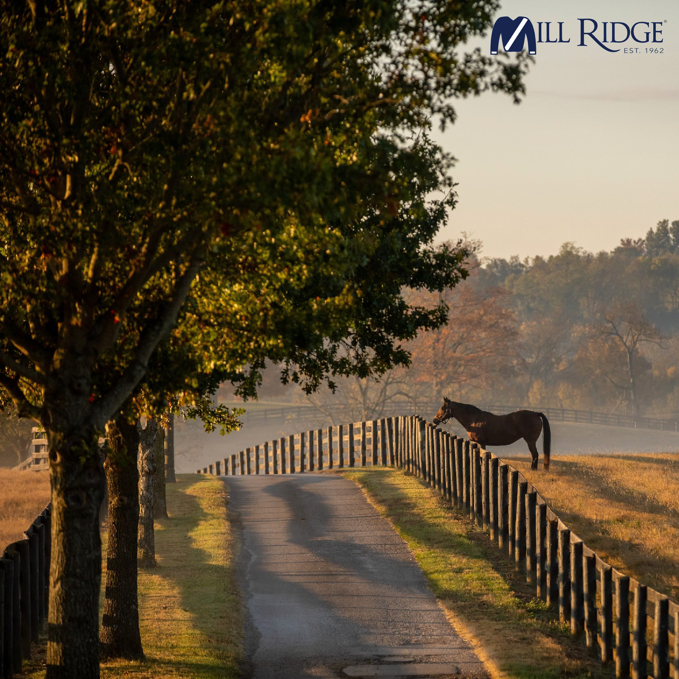 Mill Ridge Sunset.png