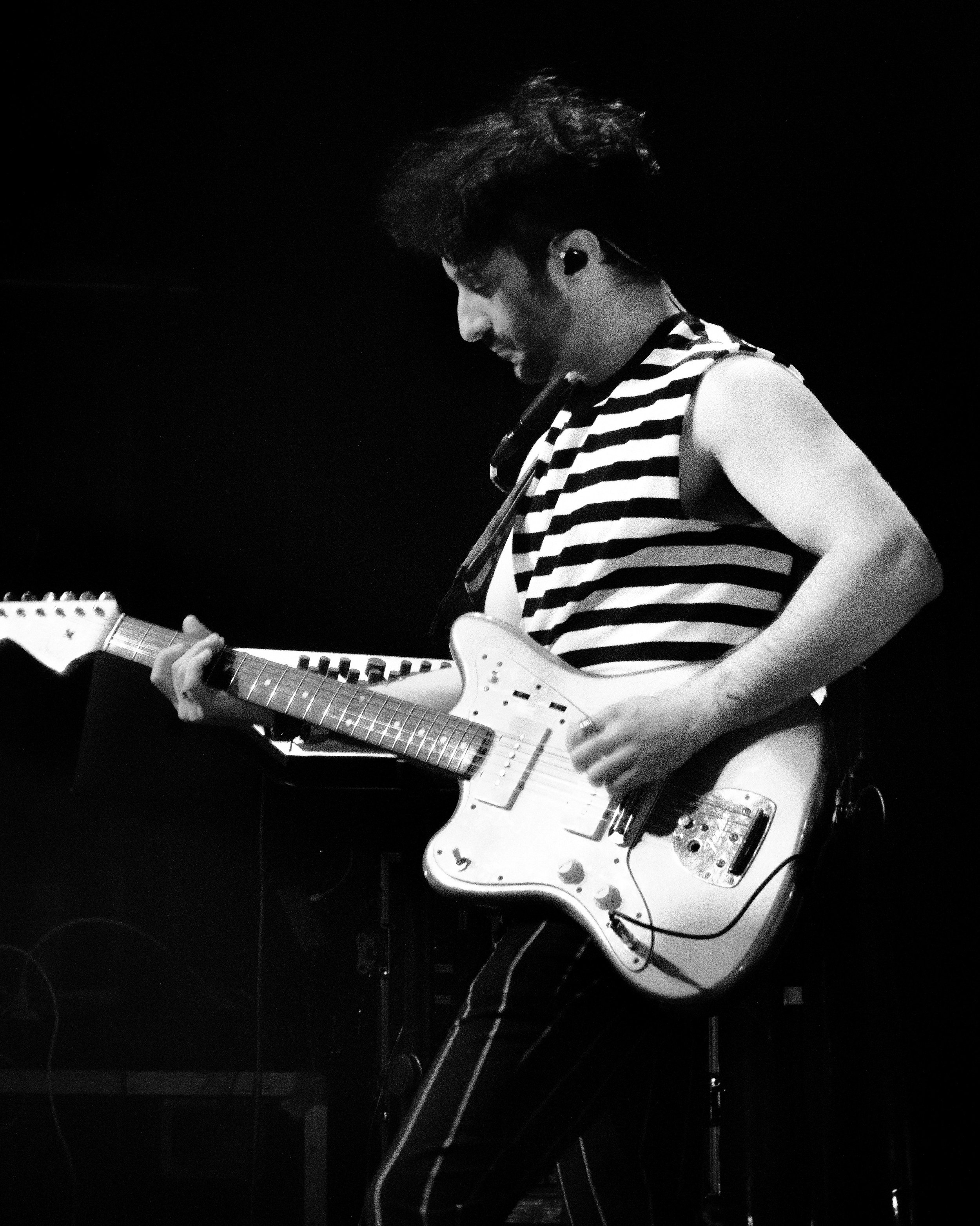 Foxies Jake 1.jpg