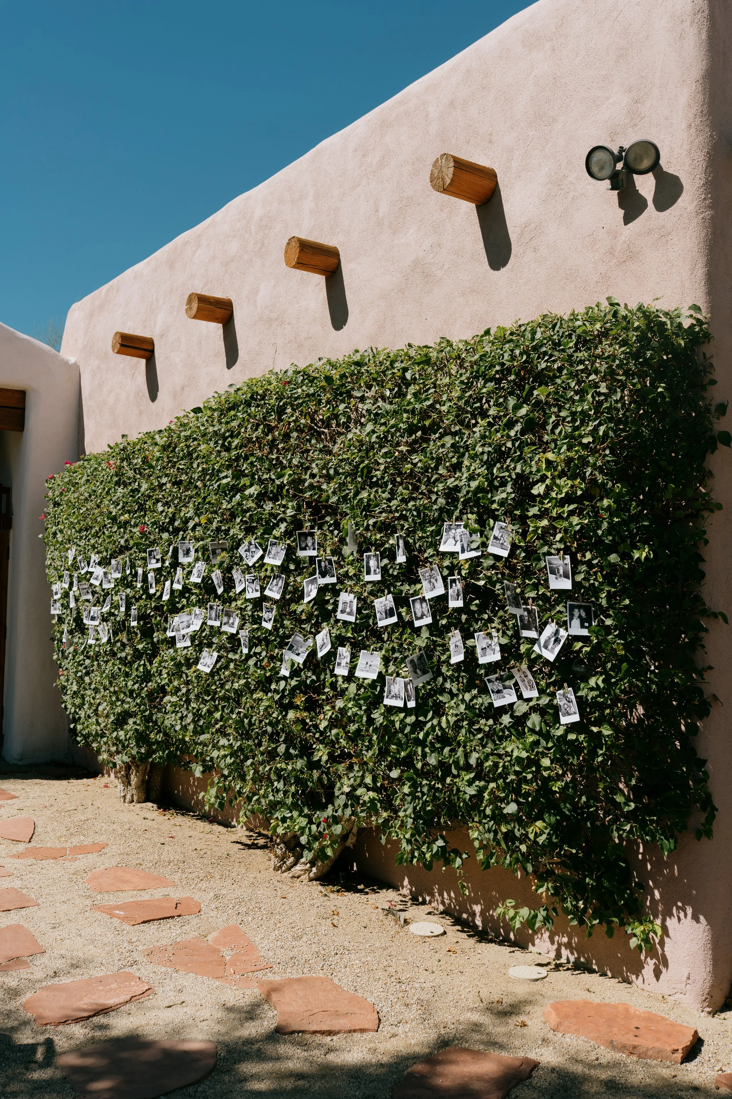 A beige stucco wall with four wooden beams projecting from it, a black outdoor light fixture, and a large green bush with photos attached to it, on a sunny day.